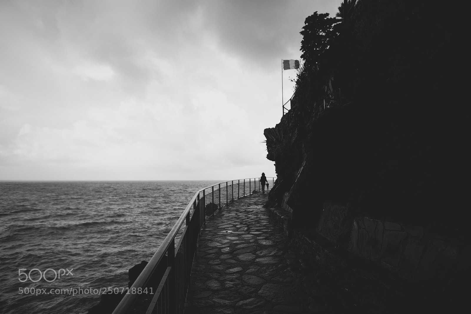 Fujifilm X-T10 sample photo. Walk alone photography