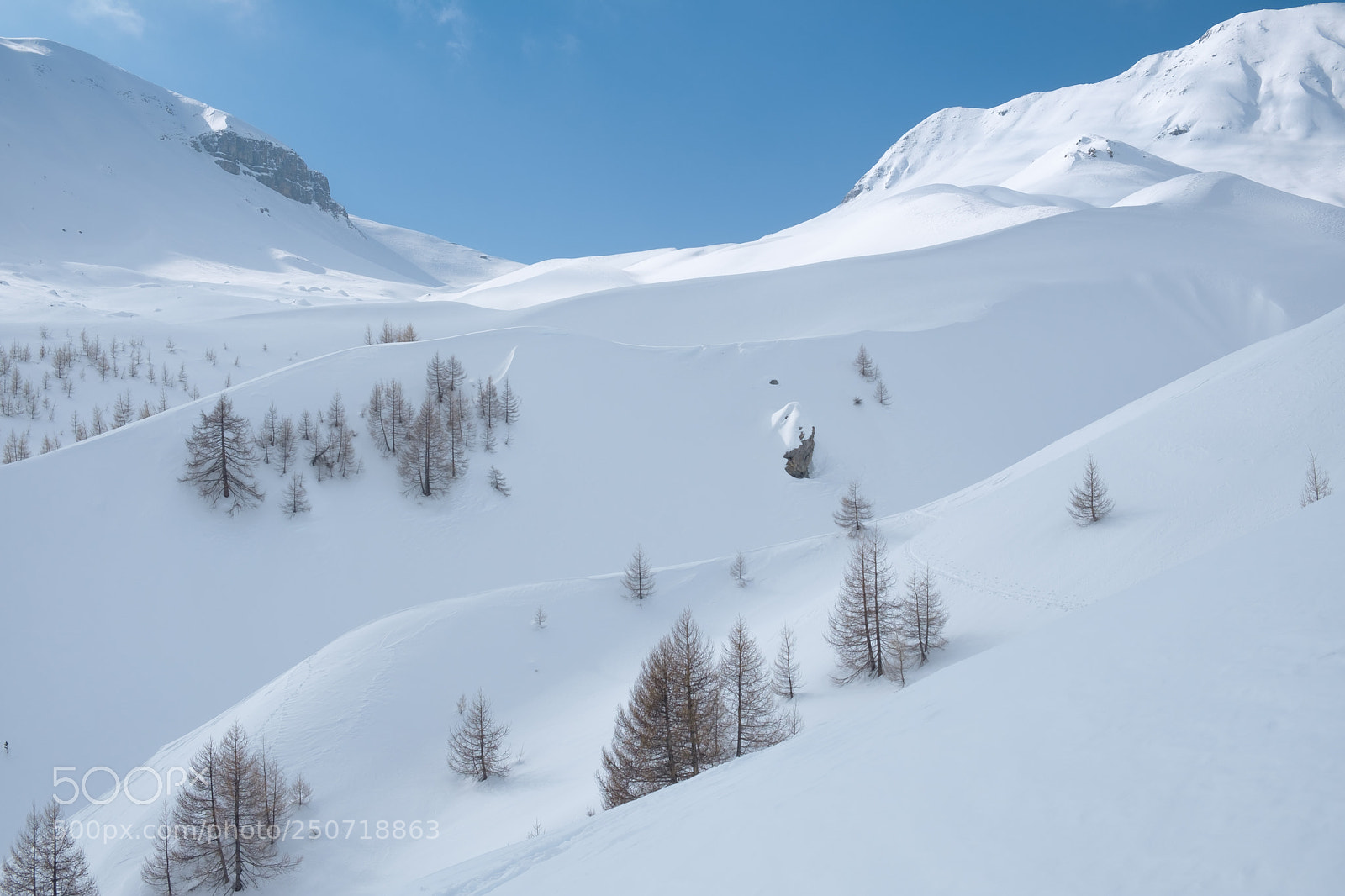 Fujifilm X-T20 sample photo. 63-col de crous photography