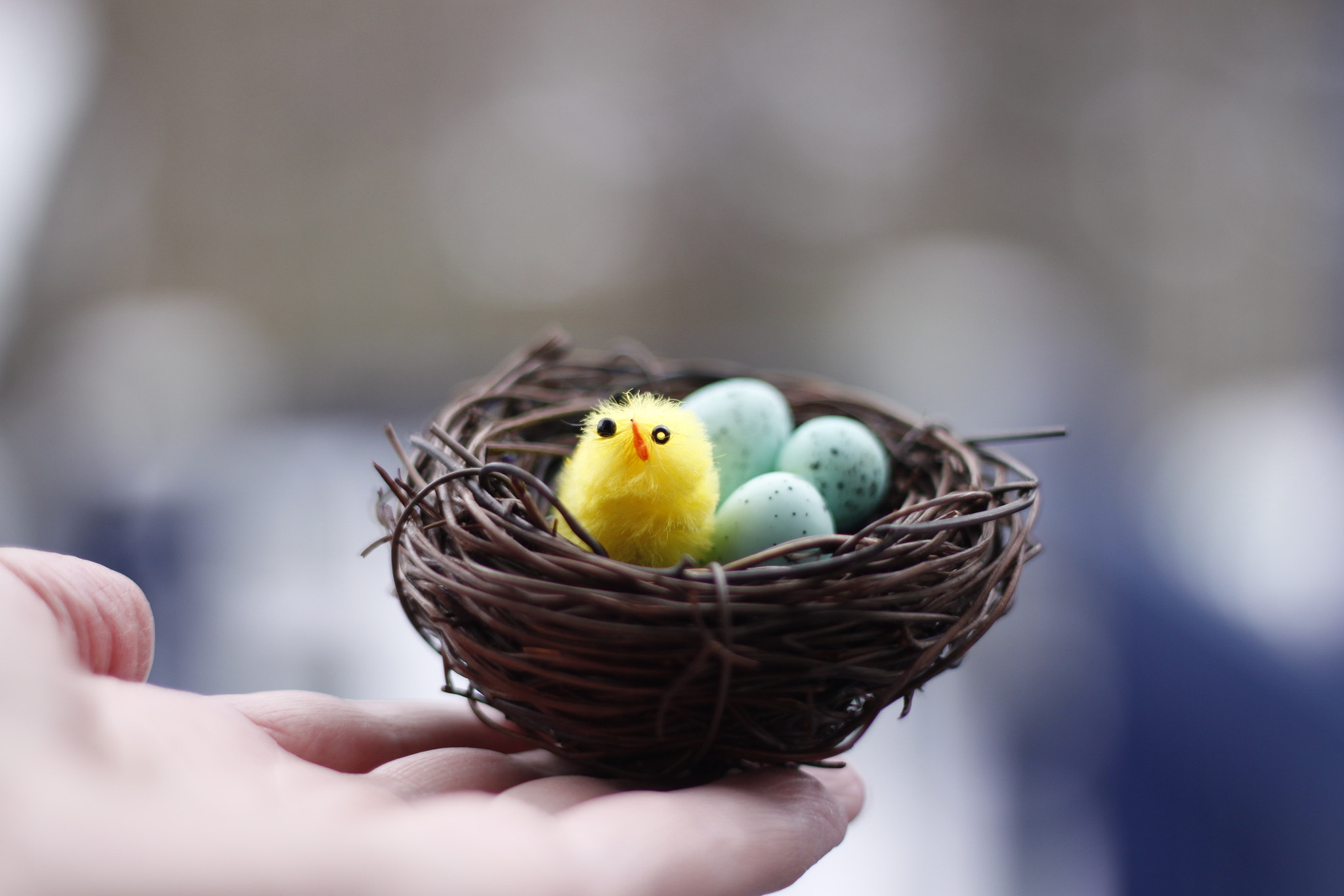 Canon EF 50mm F1.8 II sample photo. Is it spring yet? photography