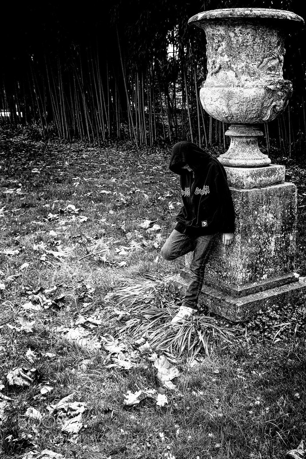 Canon EOS 77D (EOS 9000D / EOS 770D) sample photo. Sombre solitude.jpg photography