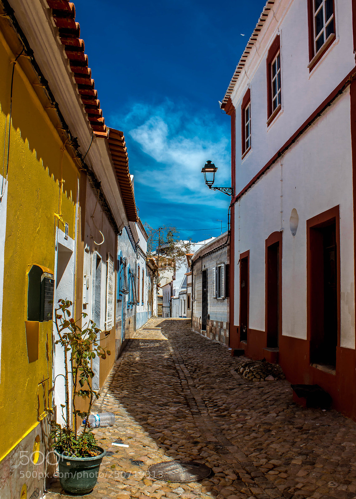 Canon EOS 70D sample photo. Street in south of photography