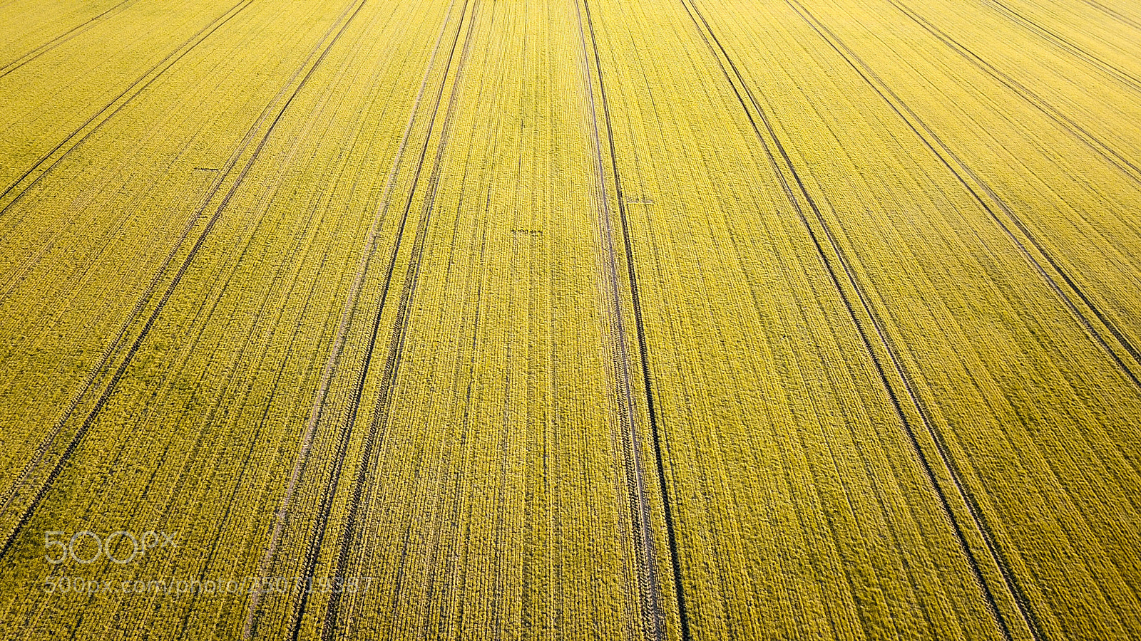 DJI FC220 sample photo. Field photography