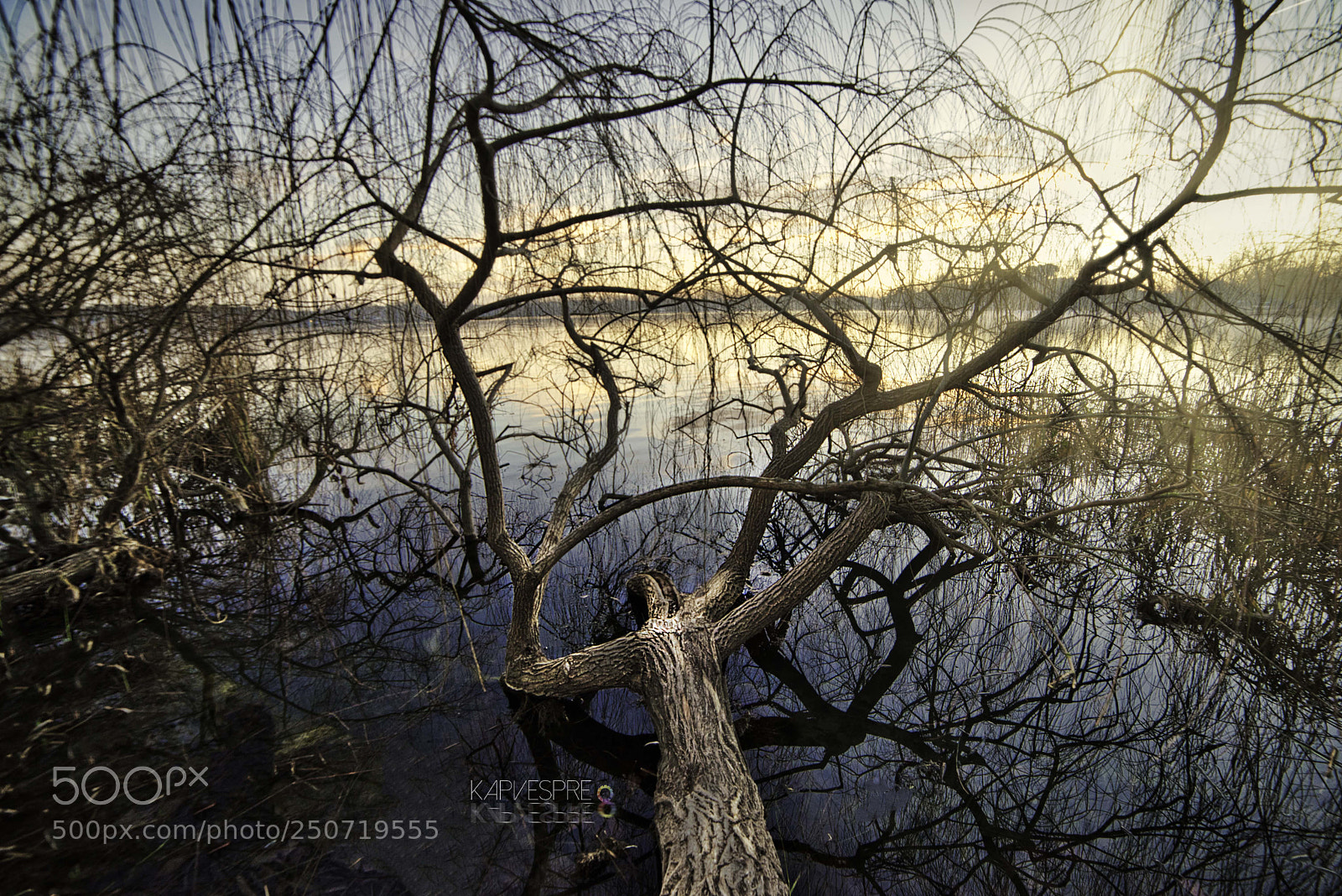 Nikon D610 sample photo. The lake watcher photography