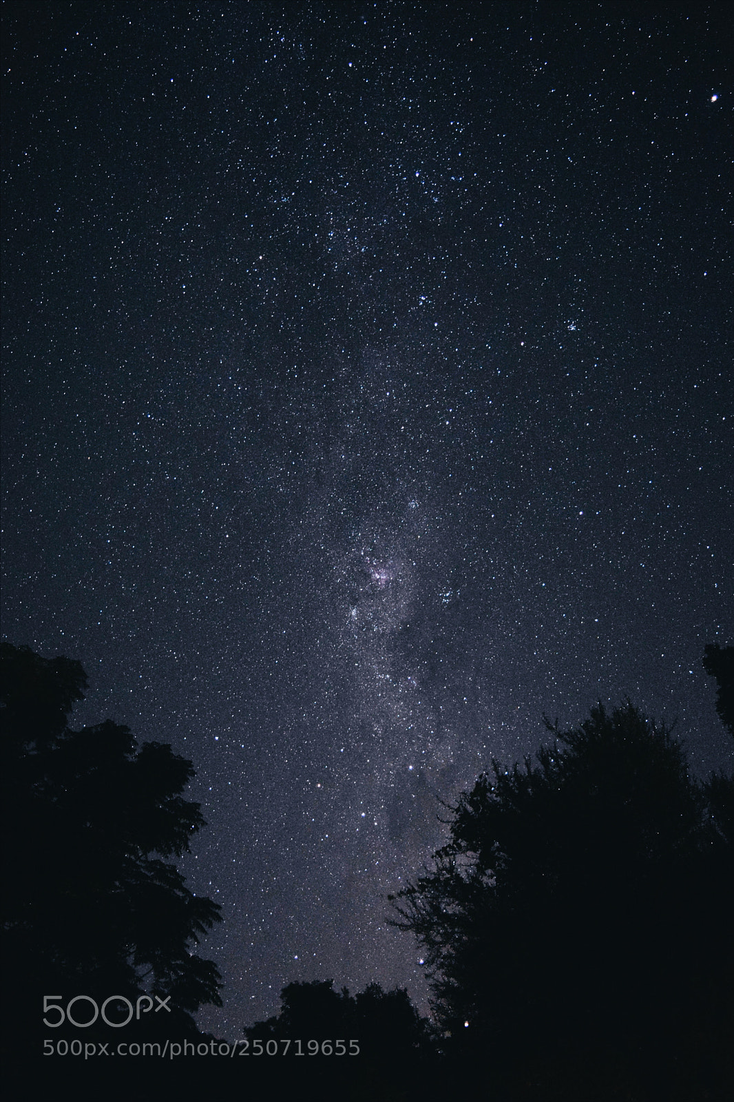 Nikon D5300 sample photo. Milky way. photography
