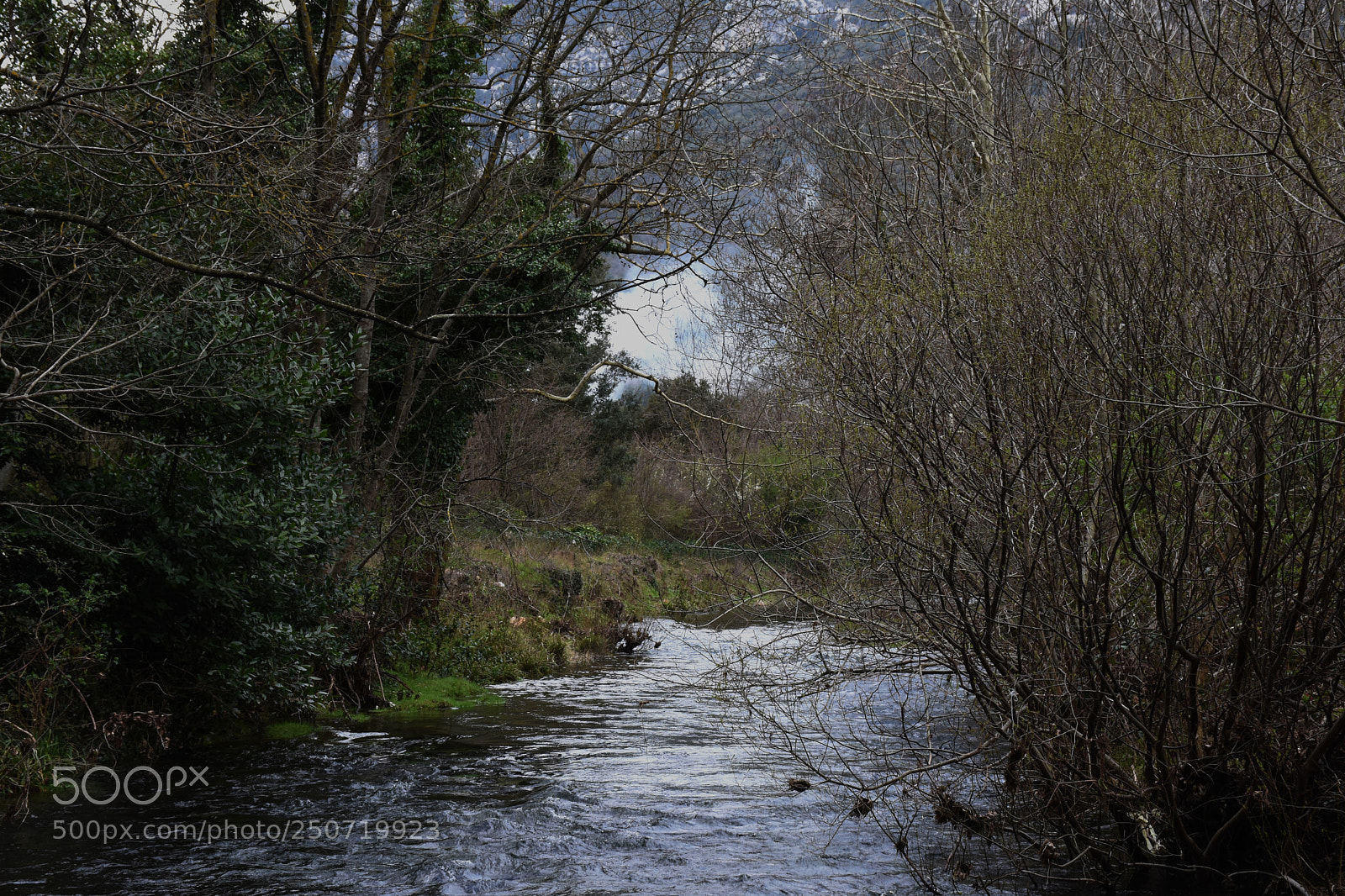 Nikon D7200 sample photo. River sy jean bue photography
