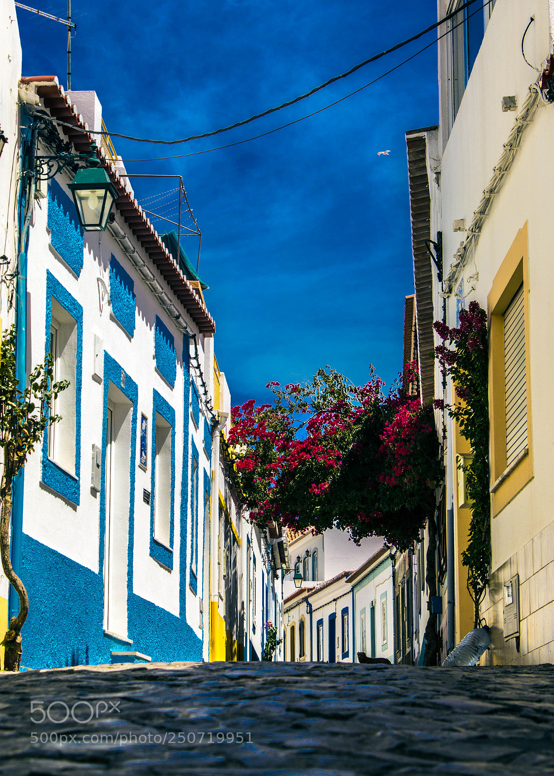 Canon EOS 70D sample photo. Street albufeira portugal photography