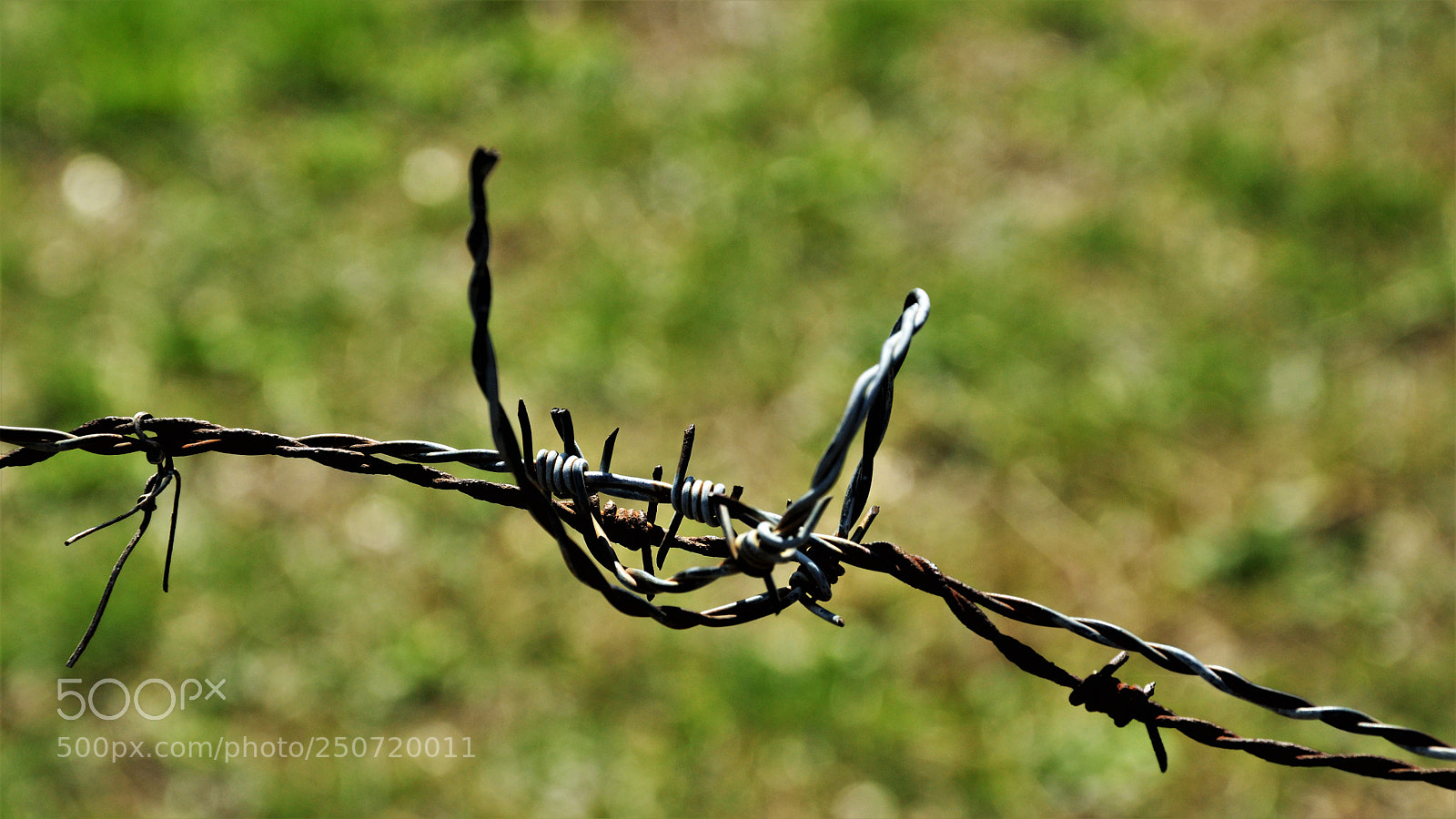 Nikon D3200 sample photo. Untitled photography