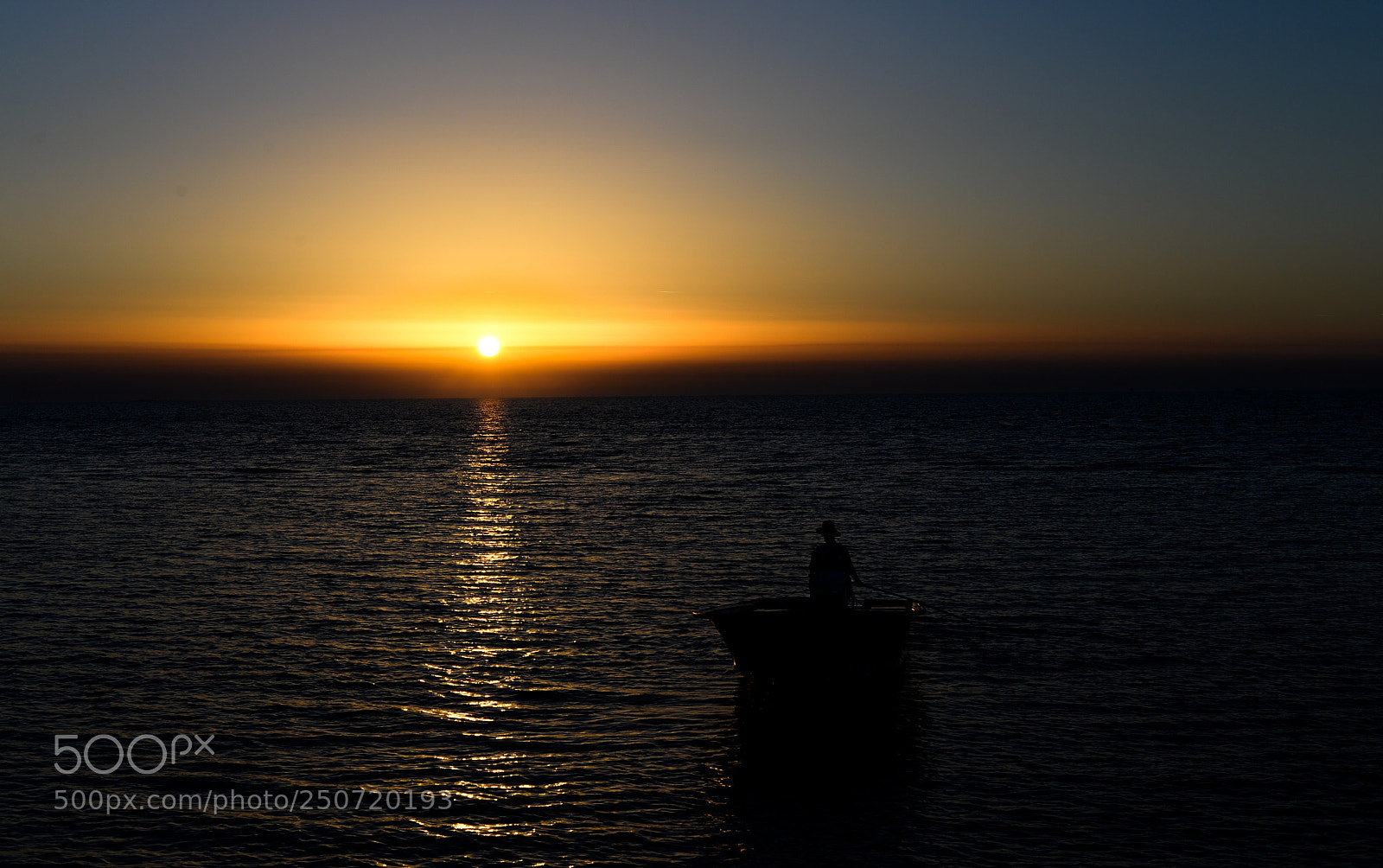 Nikon D610 sample photo. Man and fish photography