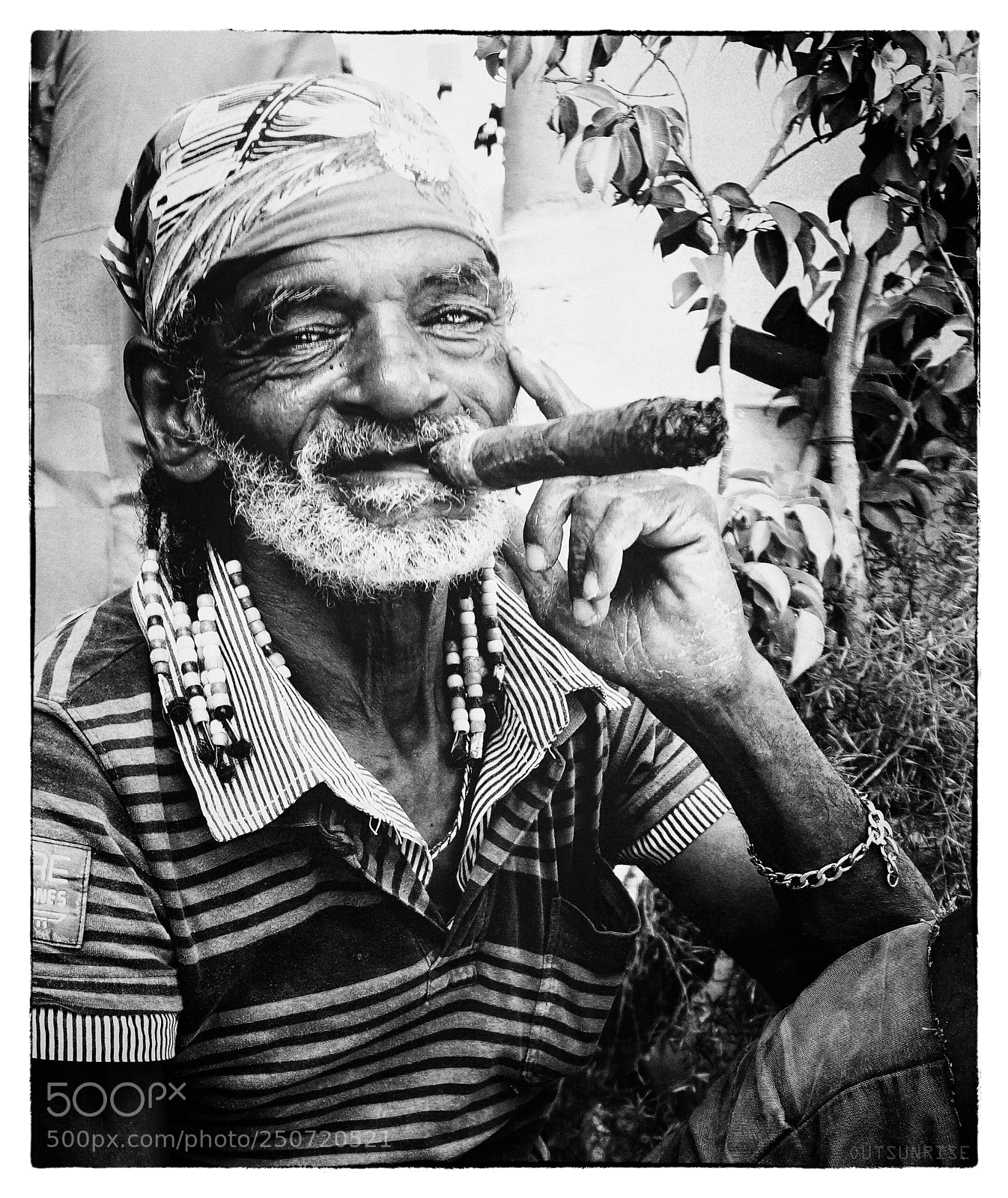 Sony SLT-A65 (SLT-A65V) sample photo. Puro habano by outsunrise photography