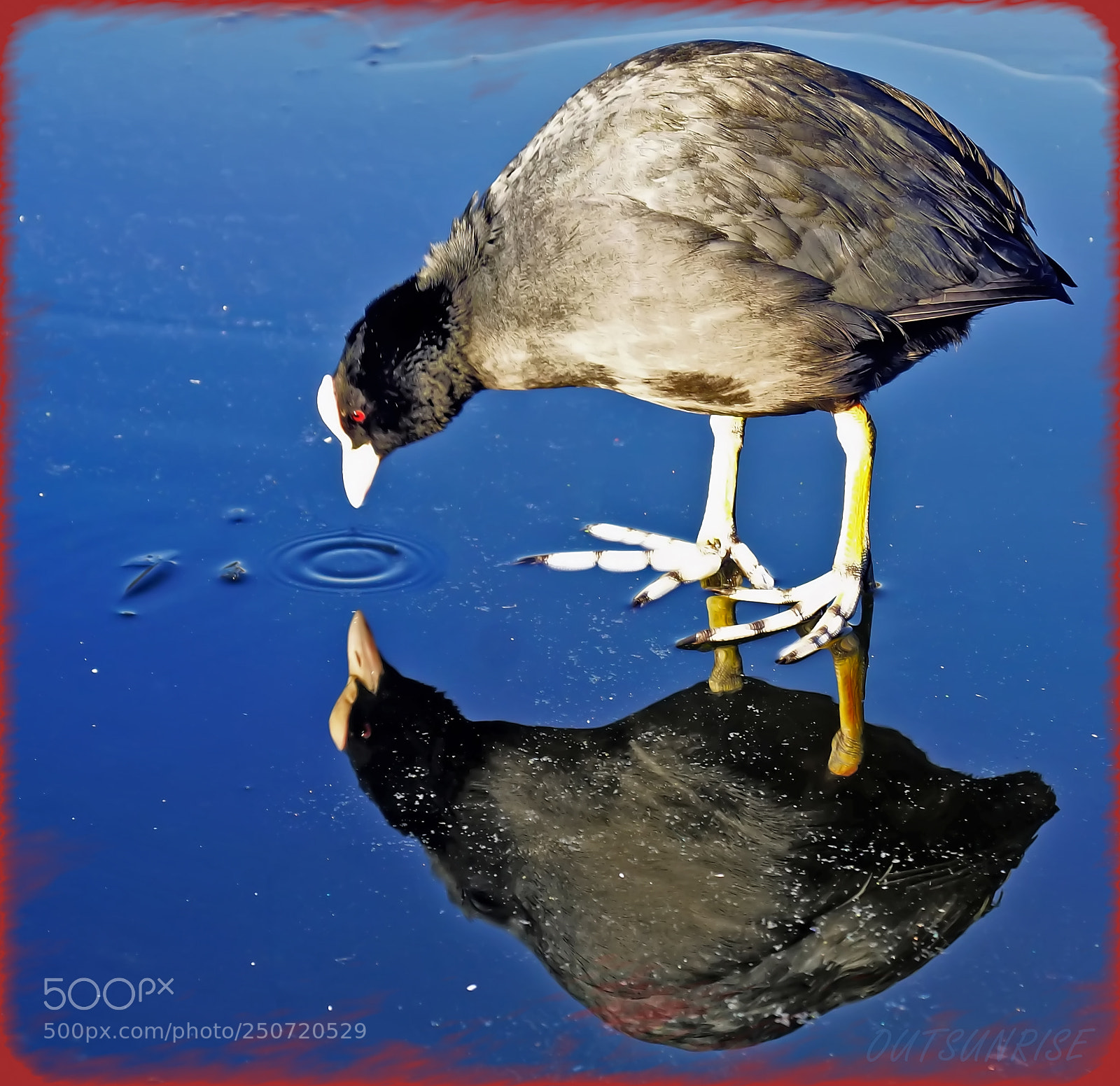 Sony SLT-A65 (SLT-A65V) sample photo. Reflection by outsunrise photography