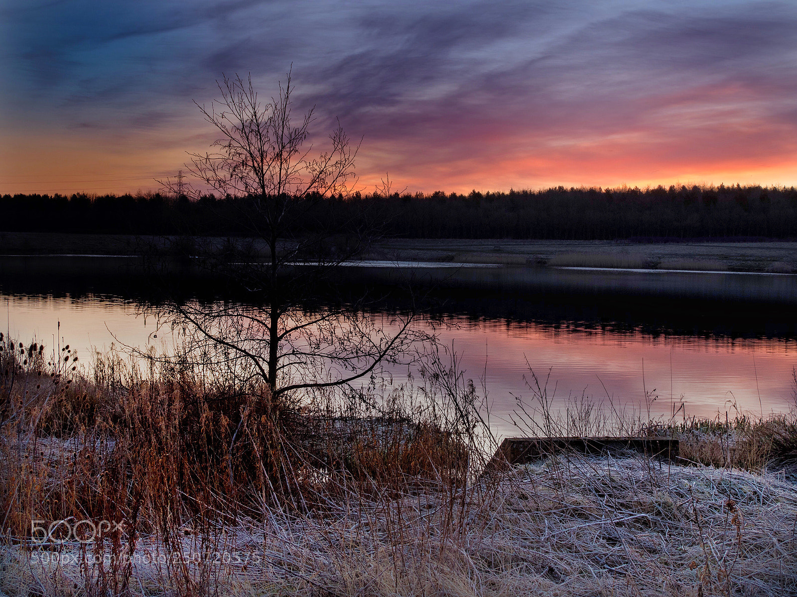 Olympus OM-D E-M5 II sample photo. Frosty start
 photography