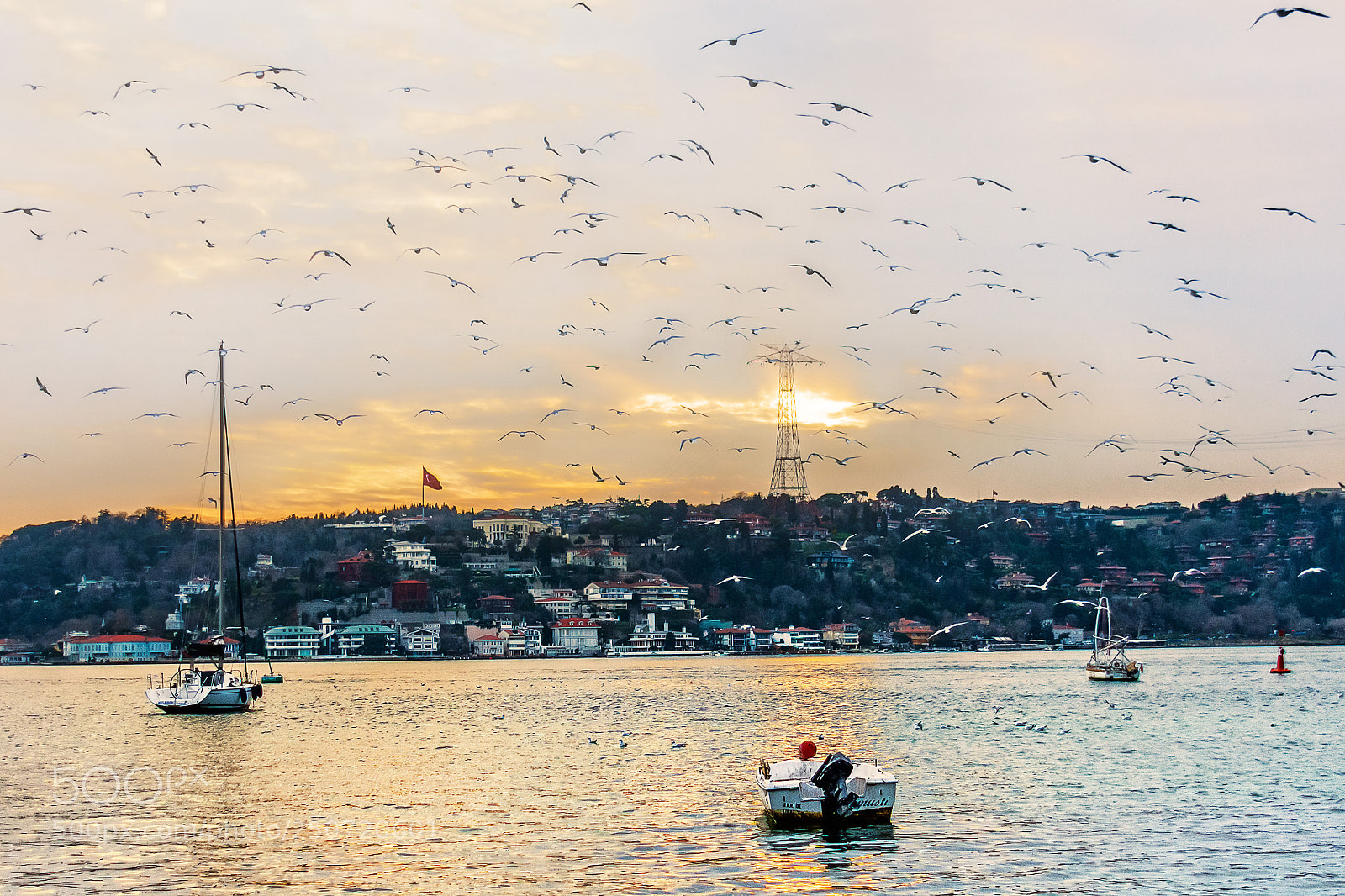 Nikon D7200 sample photo. Bebek g n do photography