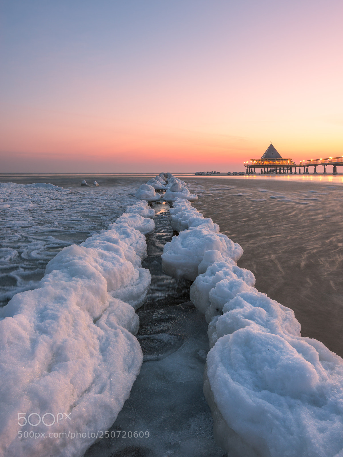 Nikon D800 sample photo. Frozen photography