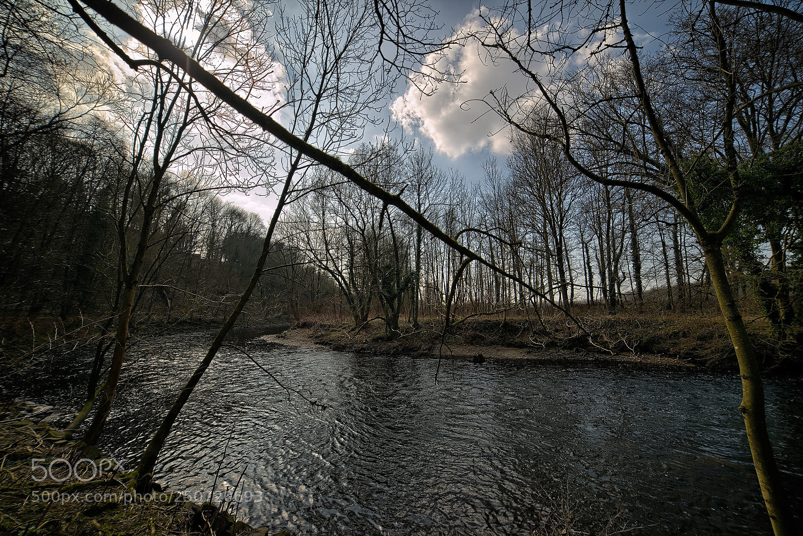 Nikon D800 sample photo. Just a sunday walk photography