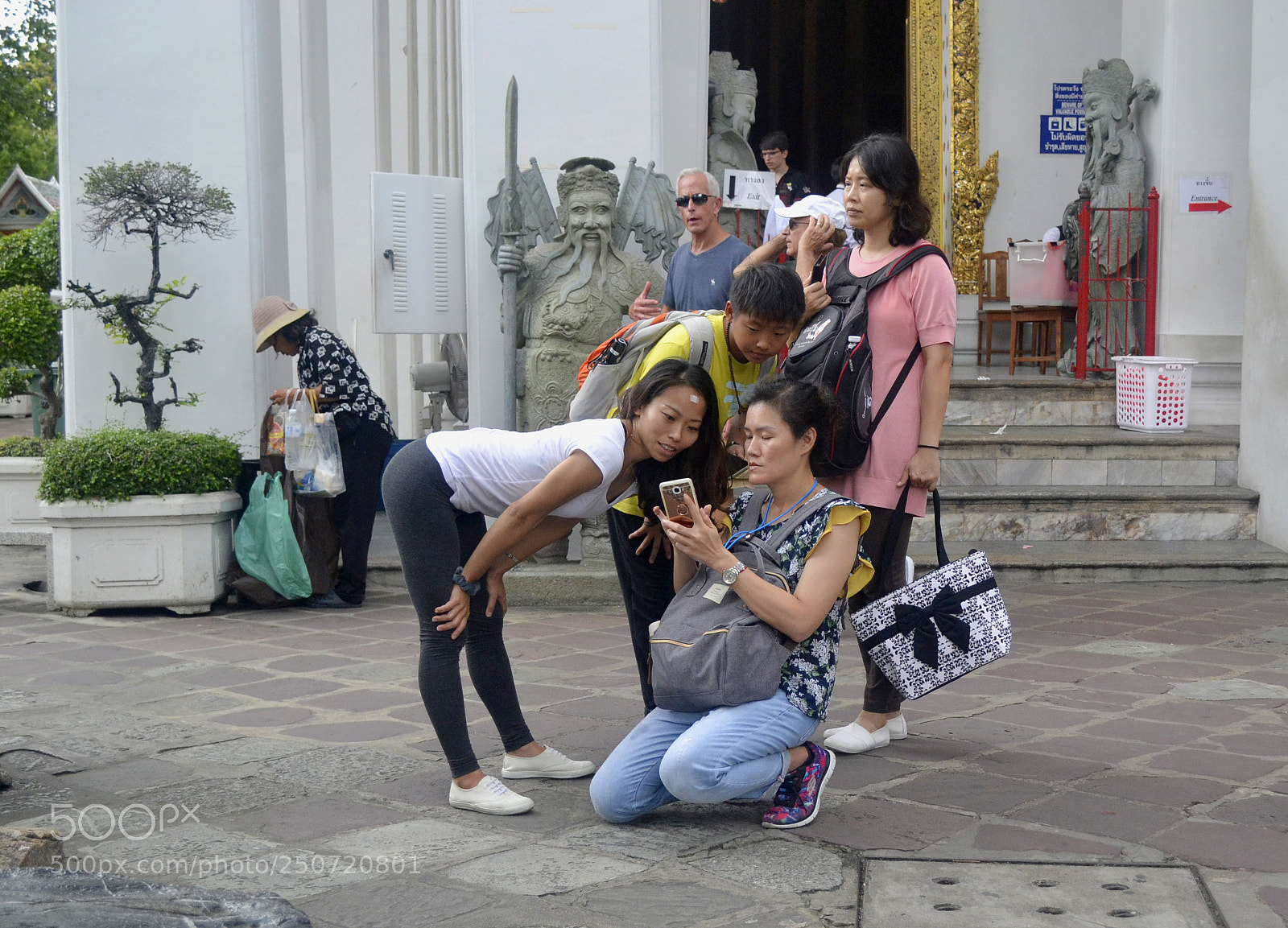 Nikon D3100 sample photo. 611.. photography