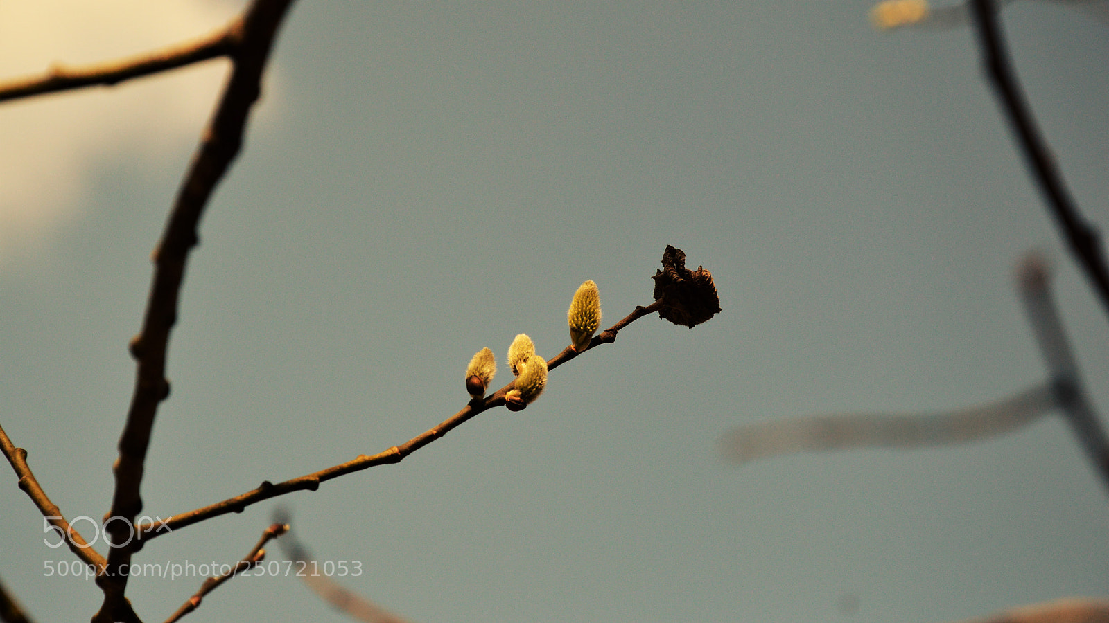 Nikon D3200 sample photo. Untitled photography