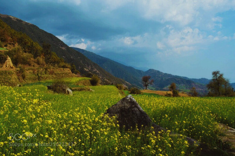 Nikon D5300 sample photo. Countryside  photography