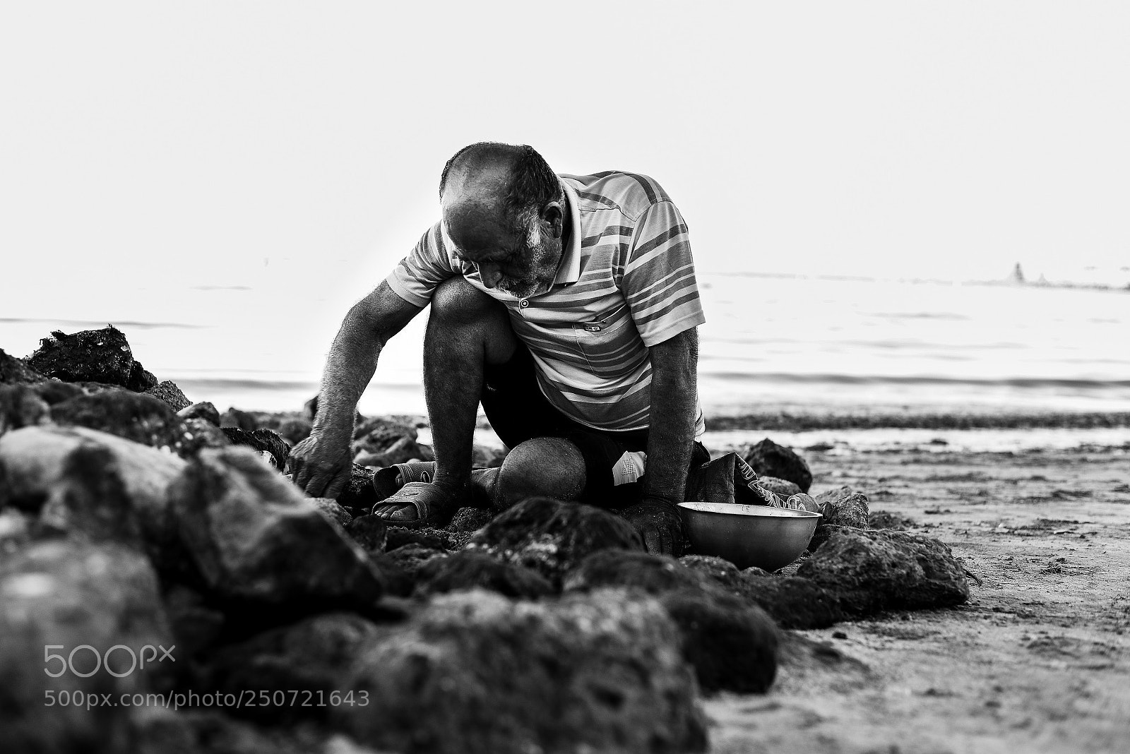 Nikon D610 sample photo. Man and fish photography
