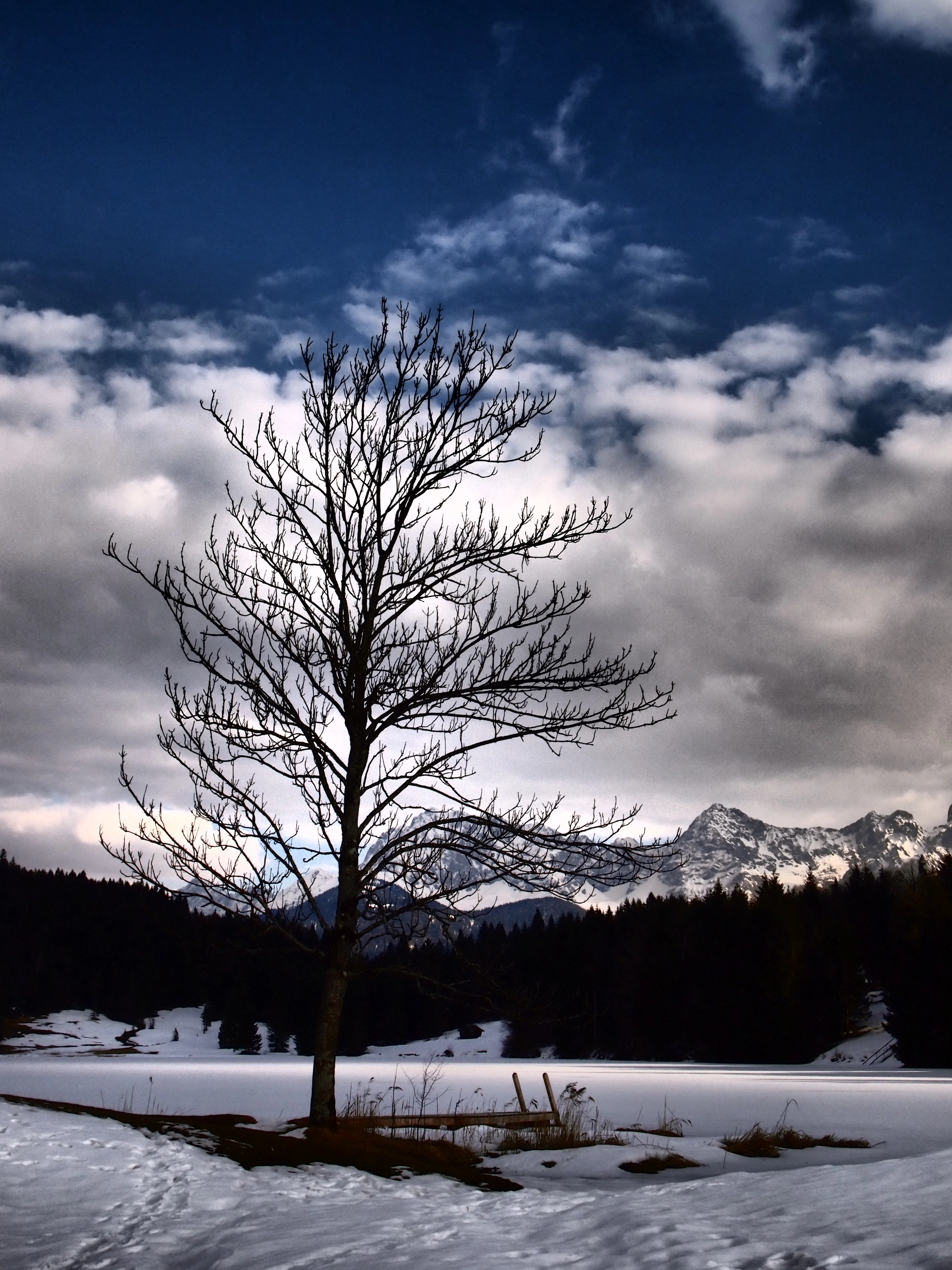 Olympus PEN E-PL2 sample photo. Last snow photography