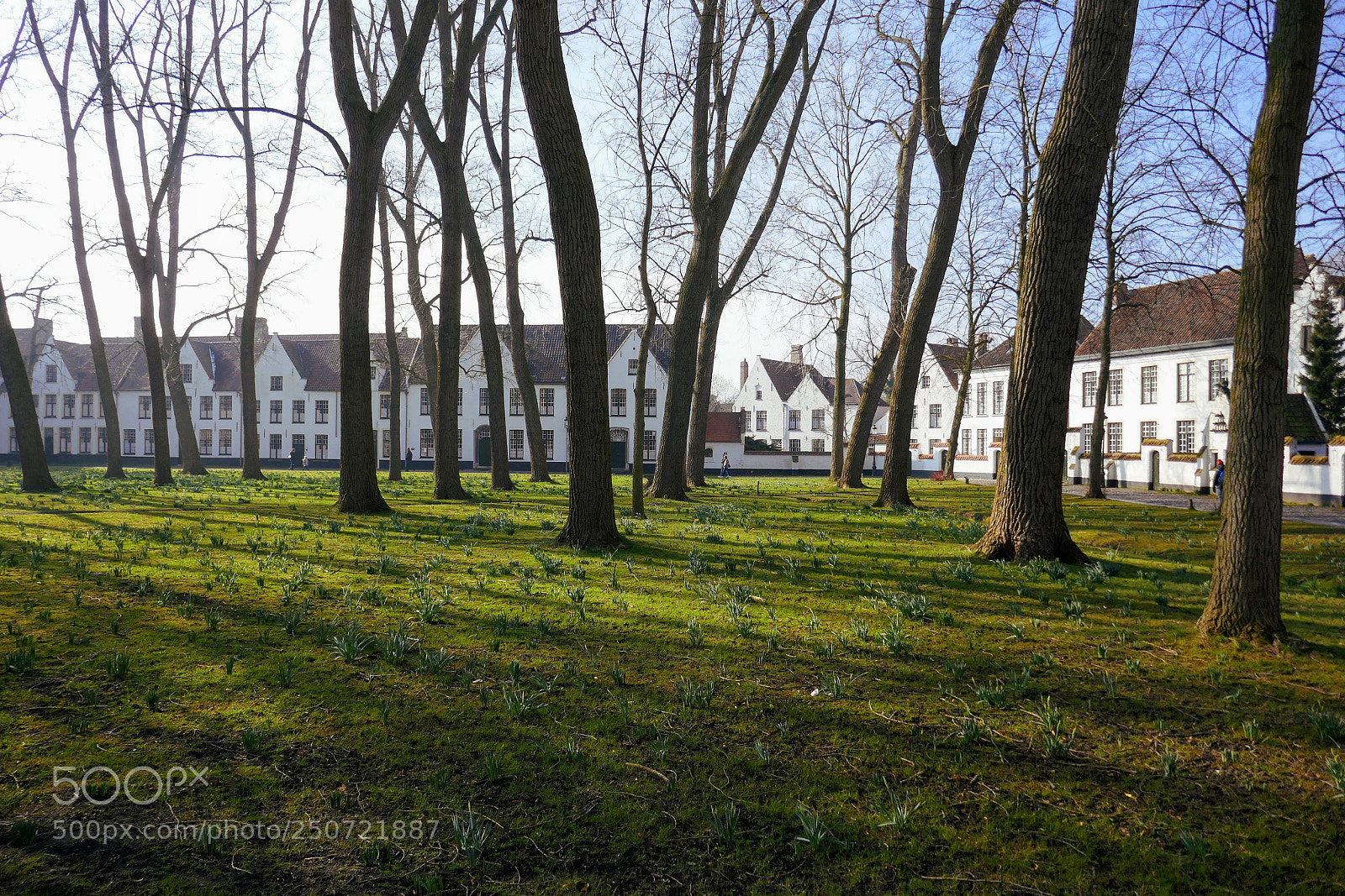 Panasonic Lumix DMC-ZS100 (Lumix DMC-TZ100) sample photo. Old beguinage in bruges photography