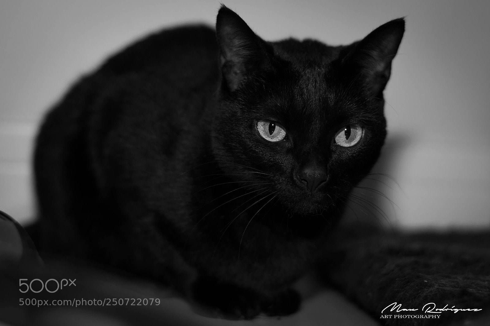 Nikon D3300 sample photo. Kira photography
