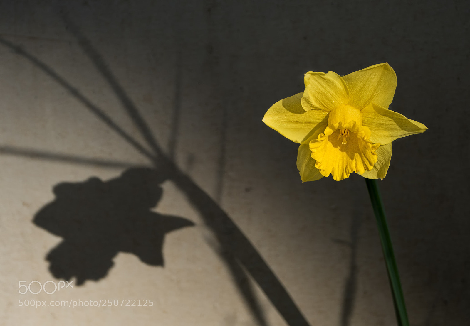 Panasonic Lumix DMC-FZ1000 sample photo. Licht und schatten photography