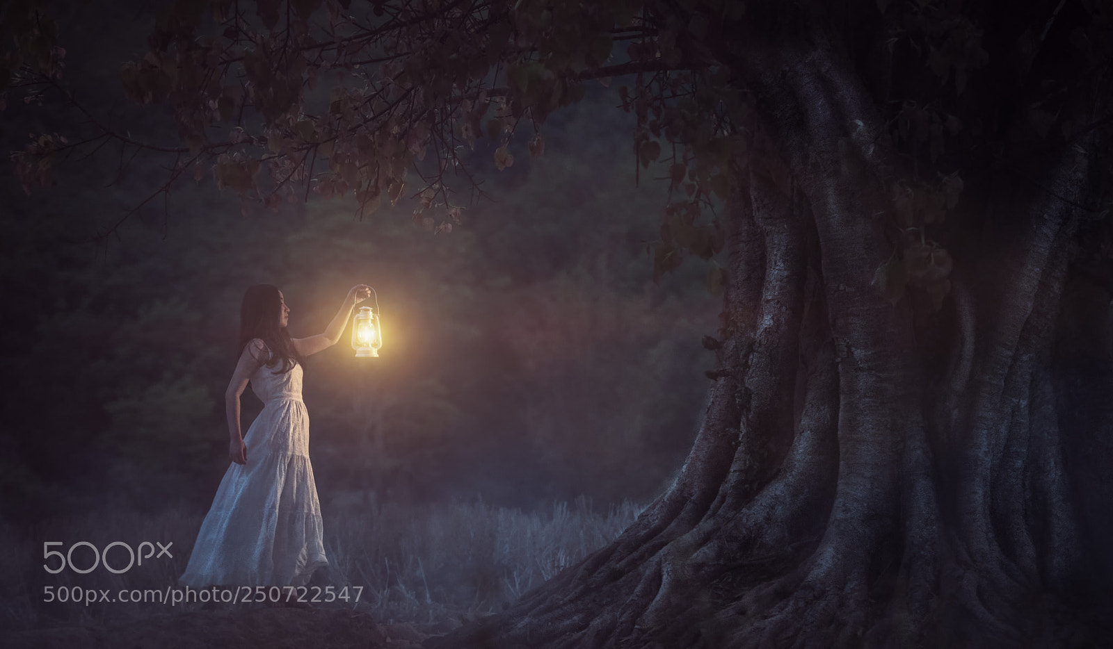 Nikon D810 sample photo. A candle loses nothing photography