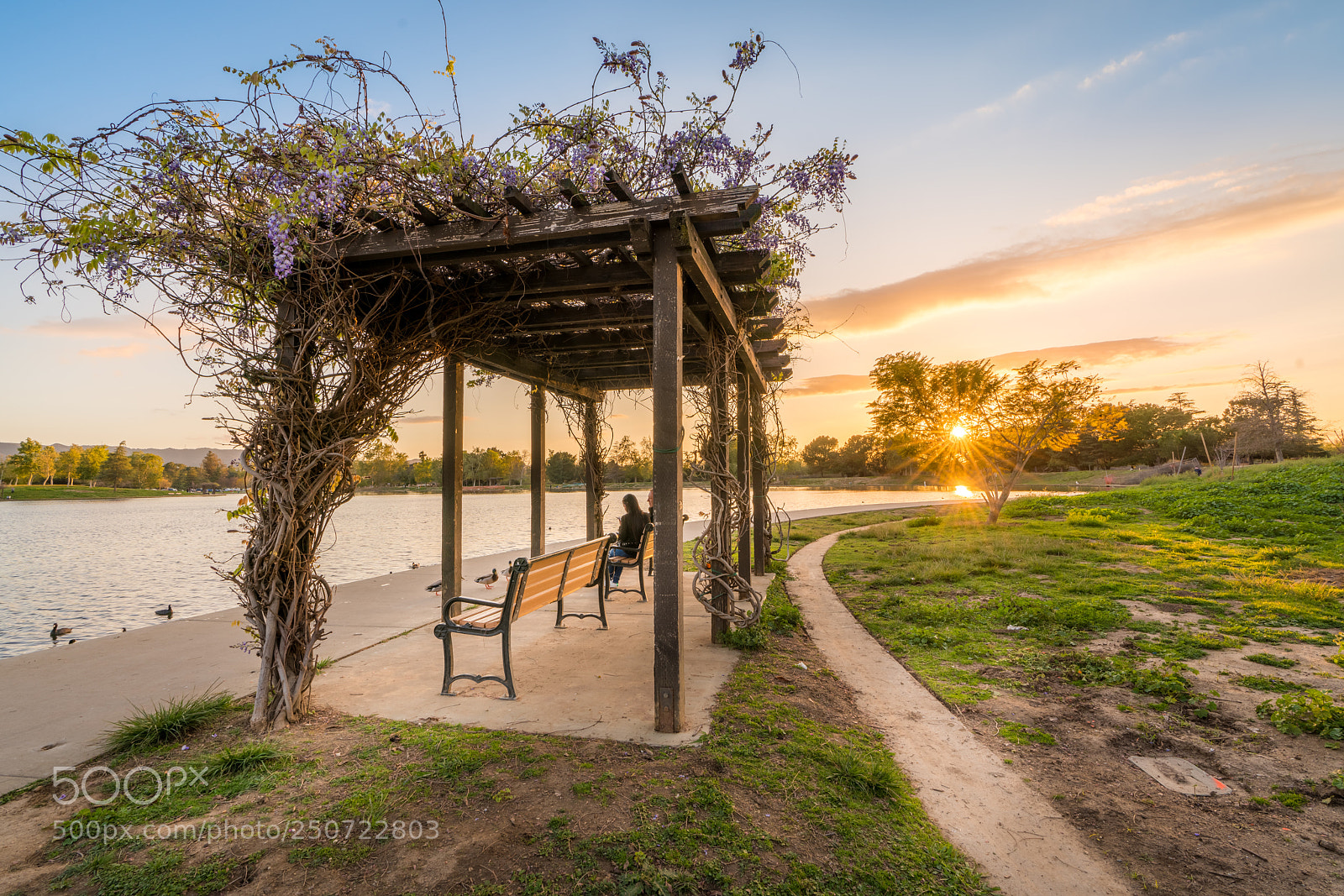Sony a7R III sample photo. Lake balboa photography