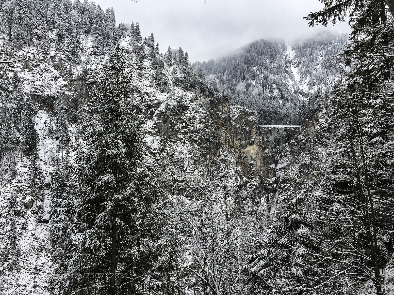 Apple iPhone 6 Plus sample photo. Neuschwanstein and bavarian alps photography