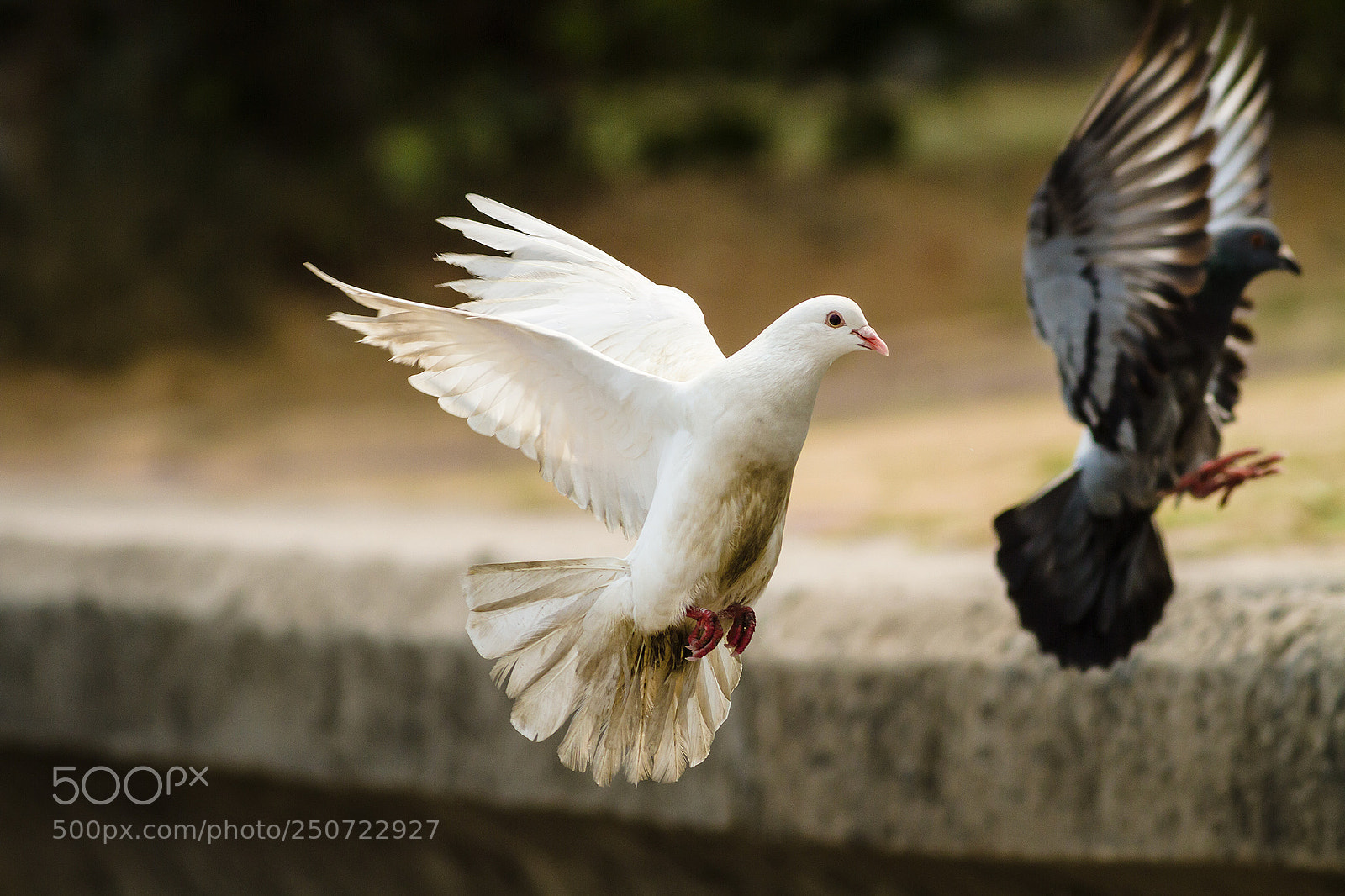 Canon EOS 7D sample photo. Landing photography