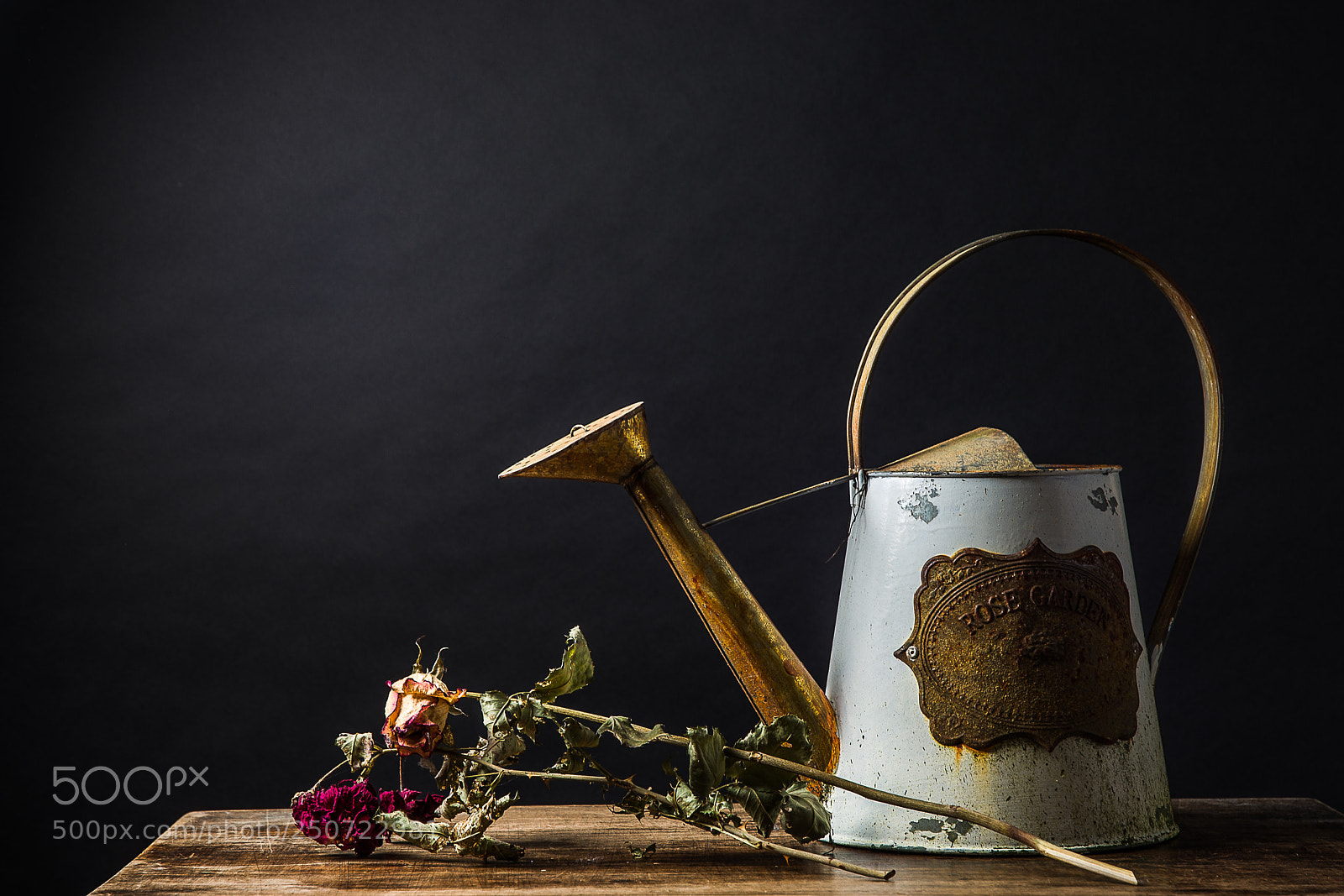 Nikon D610 sample photo. Garden photography