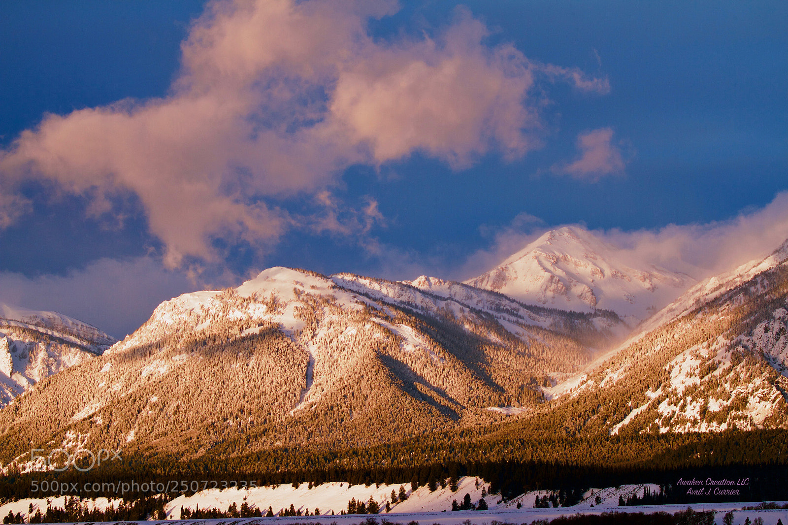 Canon EOS 7D sample photo. Morning sun photography