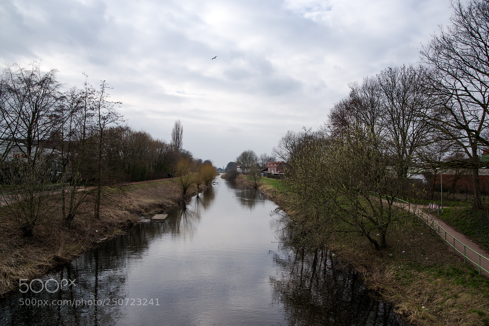 Pentax K-1 sample photo. Trees and river photography