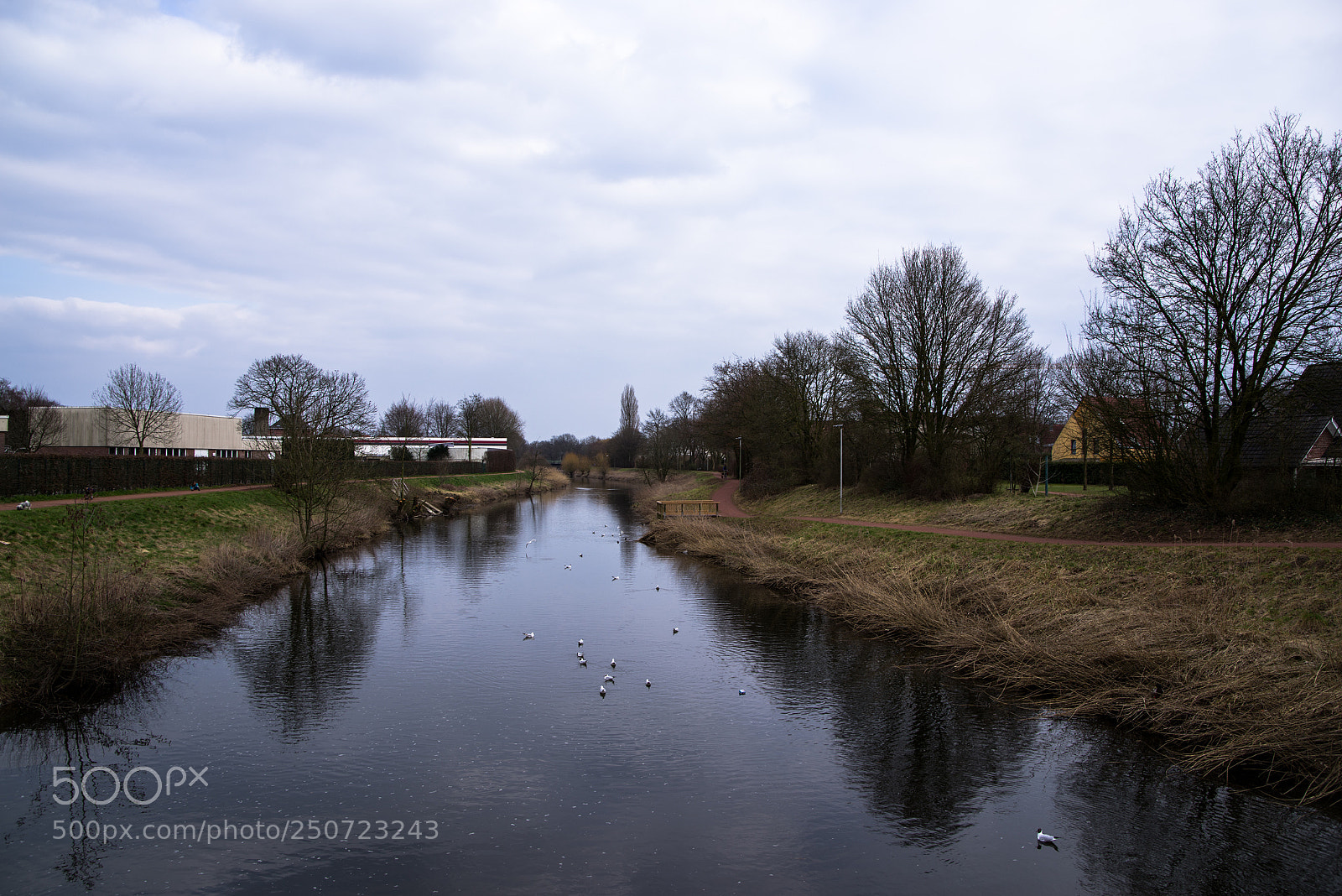 Pentax K-1 sample photo. Trees and river 2 photography
