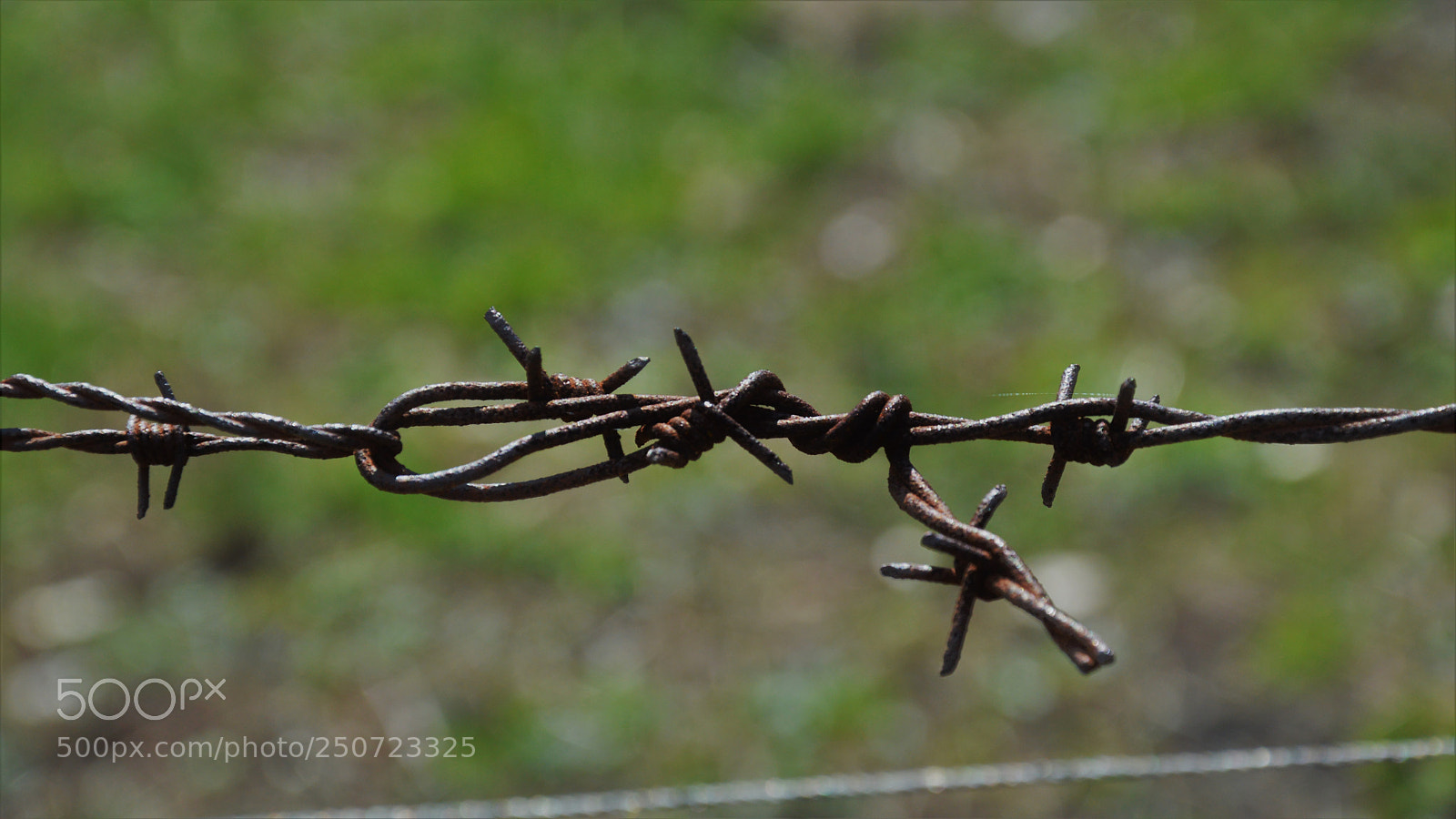 Nikon D3200 sample photo. Untitled photography