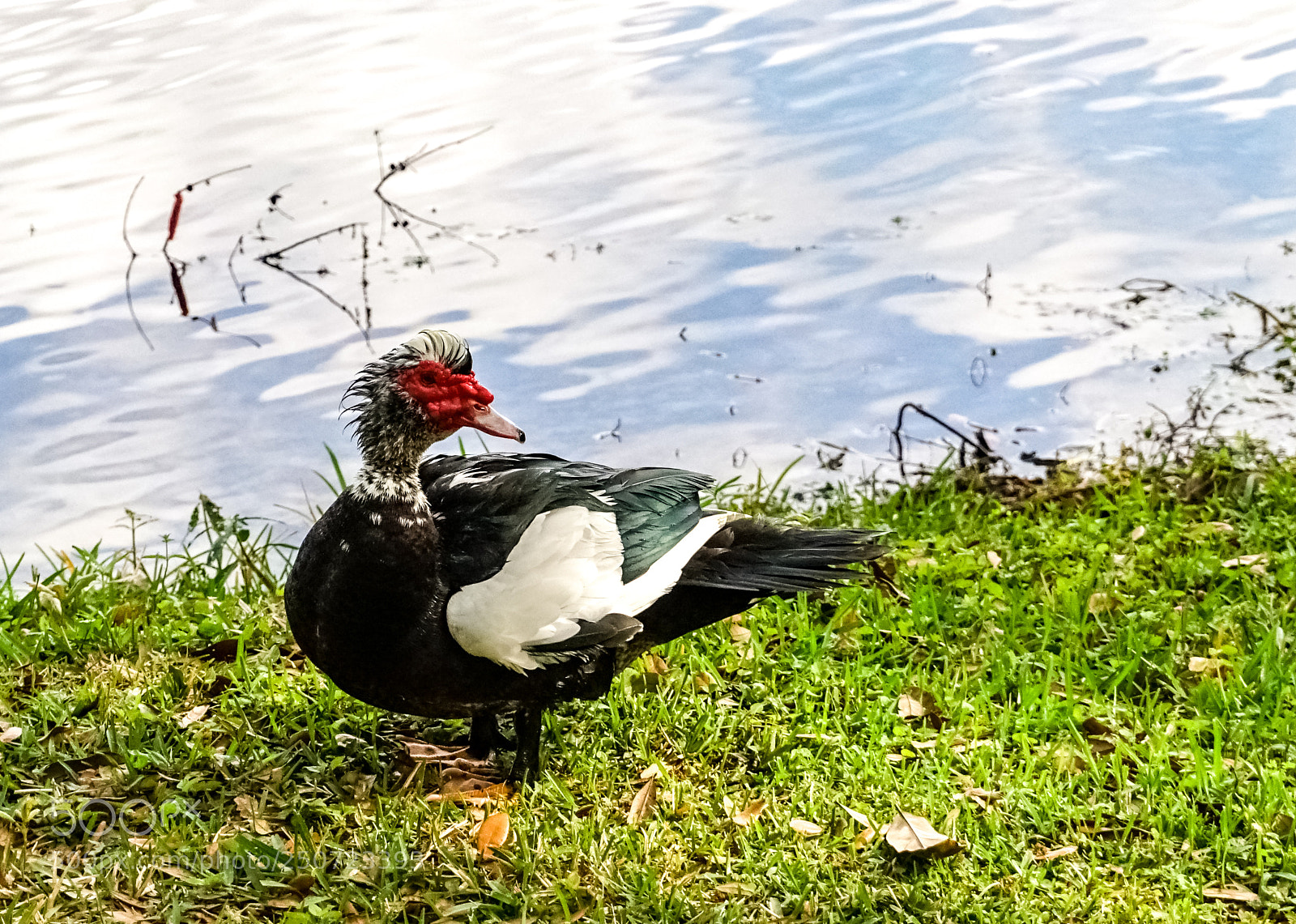 Sony a6300 sample photo. After the bath photography