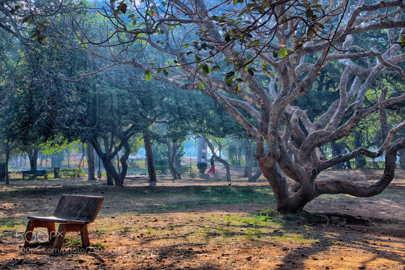 Canon EOS 600D (Rebel EOS T3i / EOS Kiss X5) sample photo. Nature beauty photography