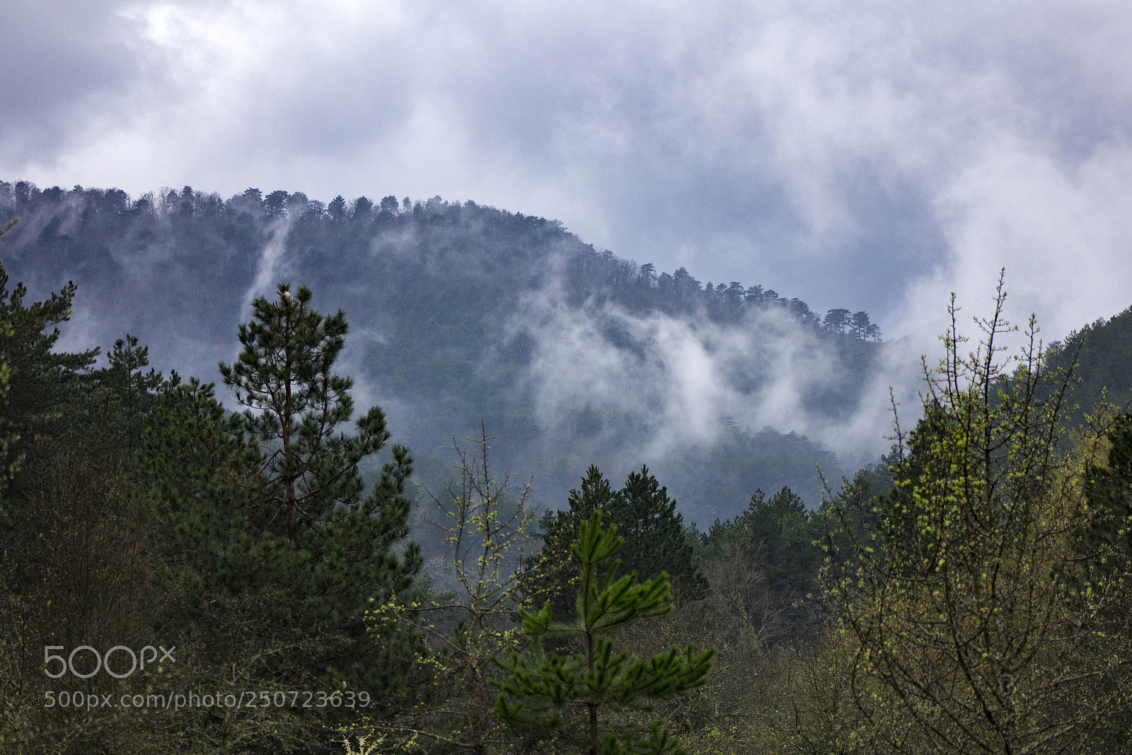 Canon EOS 60D sample photo. Mountain ida photography
