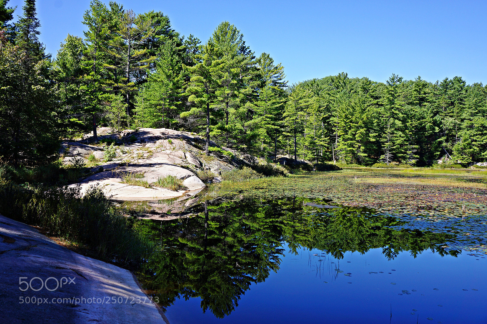 Sony Alpha NEX-7 sample photo. Ontario, canada - killarney photography