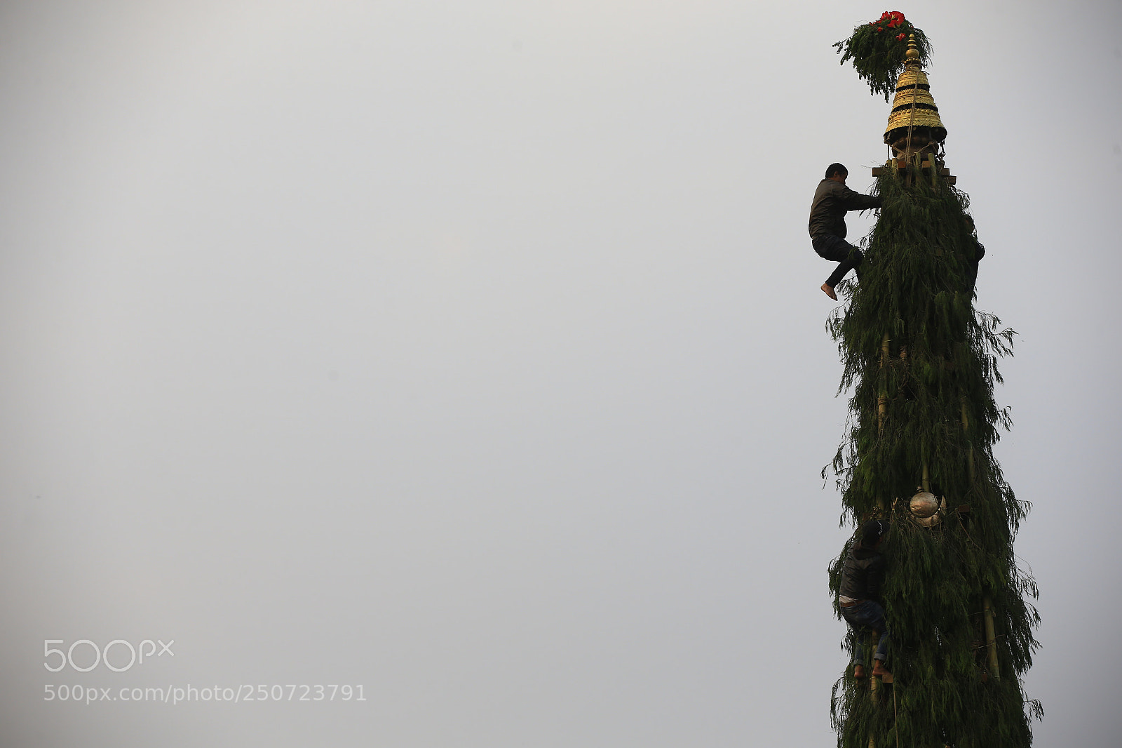 Canon EOS-1D X sample photo. Seto machindranath chariot festival photography
