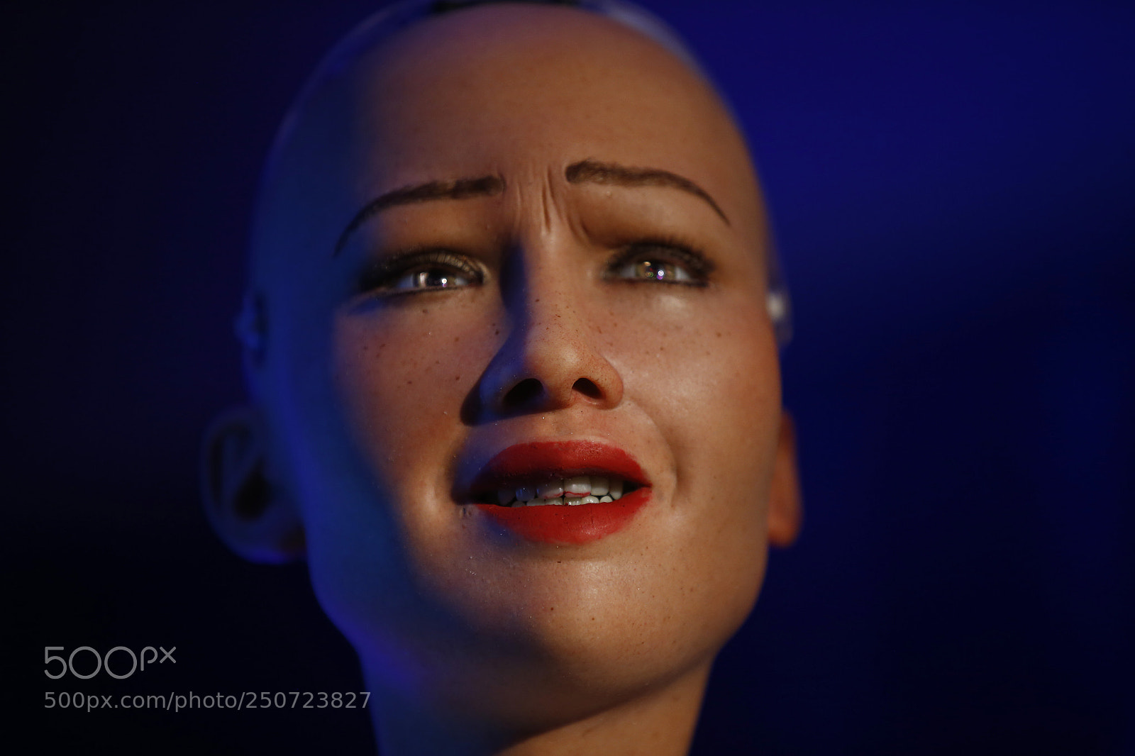 Canon EOS-1D X sample photo. Humanoid robot sophia in photography