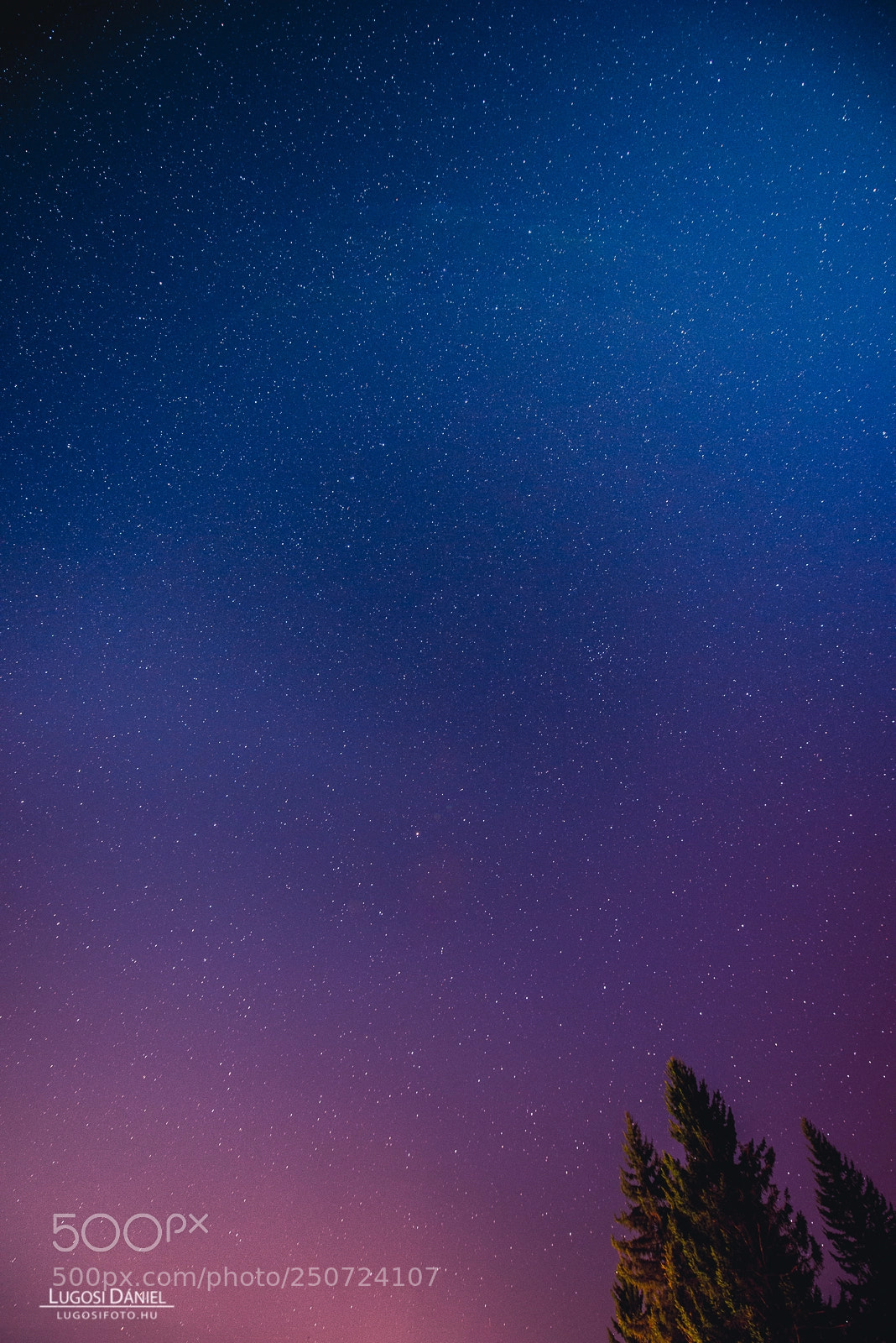 Nikon D610 sample photo. Star sky photography