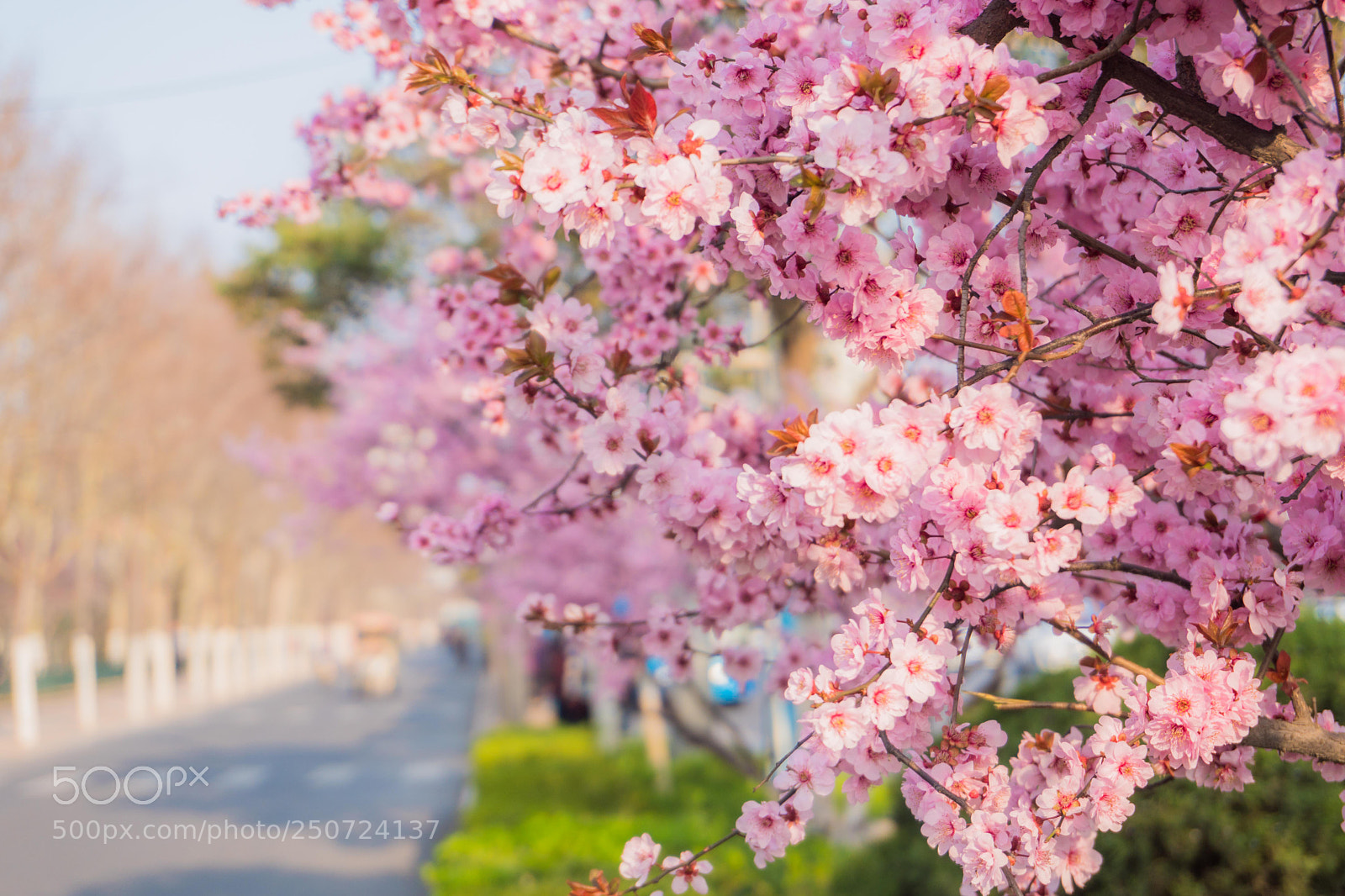 Sony a6300 sample photo. Untitled photography