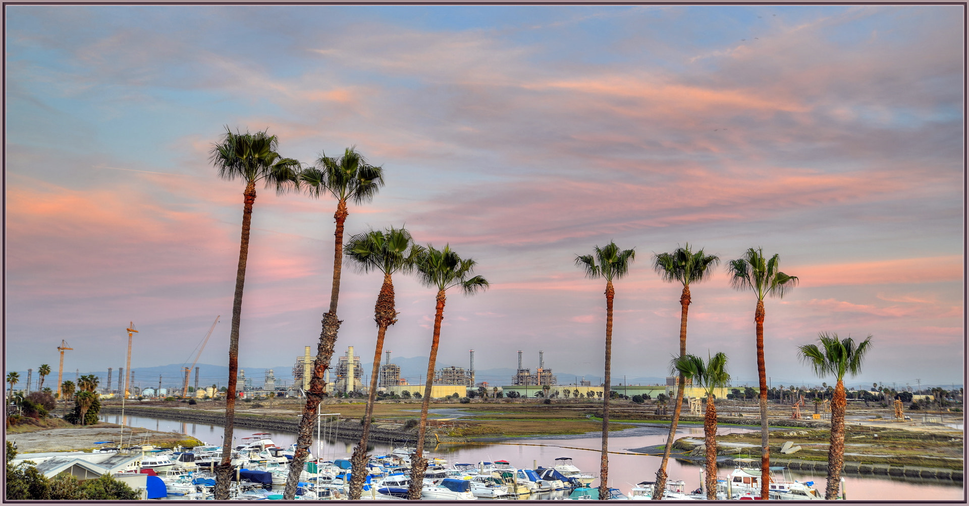 Nikon D850 + Sigma 24-105mm F4 DG OS HSM Art sample photo. Palms, boats, power photography