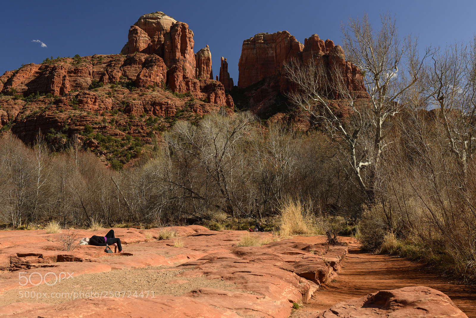 Nikon D800 sample photo. Red rock state park photography