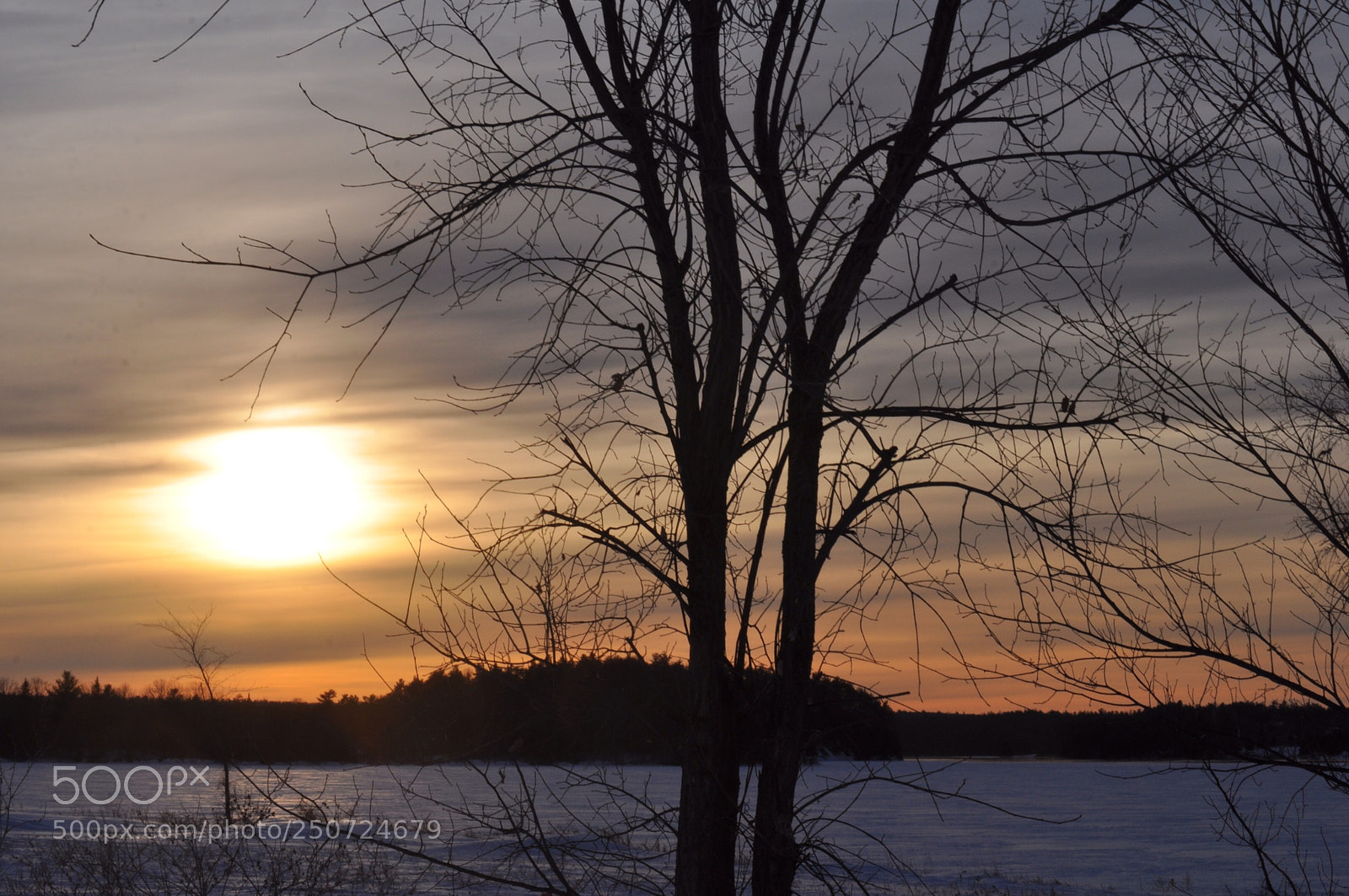 Nikon D5000 sample photo. The glow photography