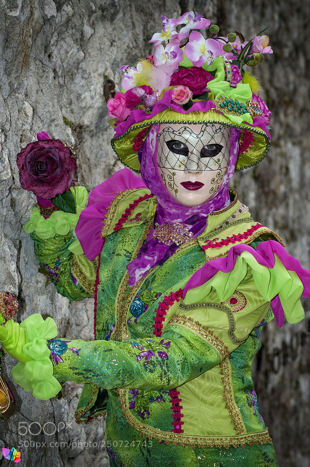 Nikon D300 sample photo. Carnaval vénitien d'annecy photography
