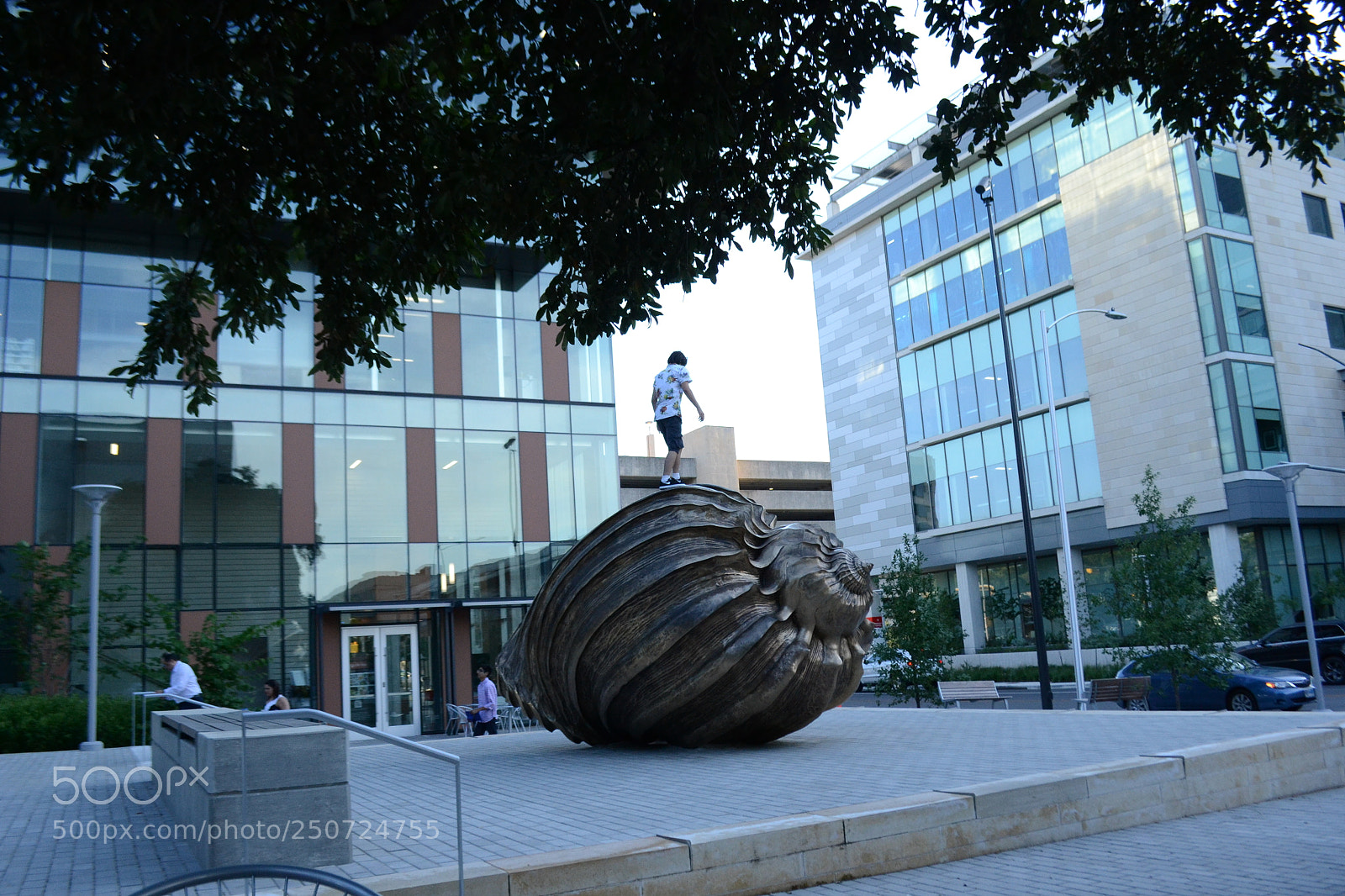 Nikon D3100 sample photo. Austin spiral photography