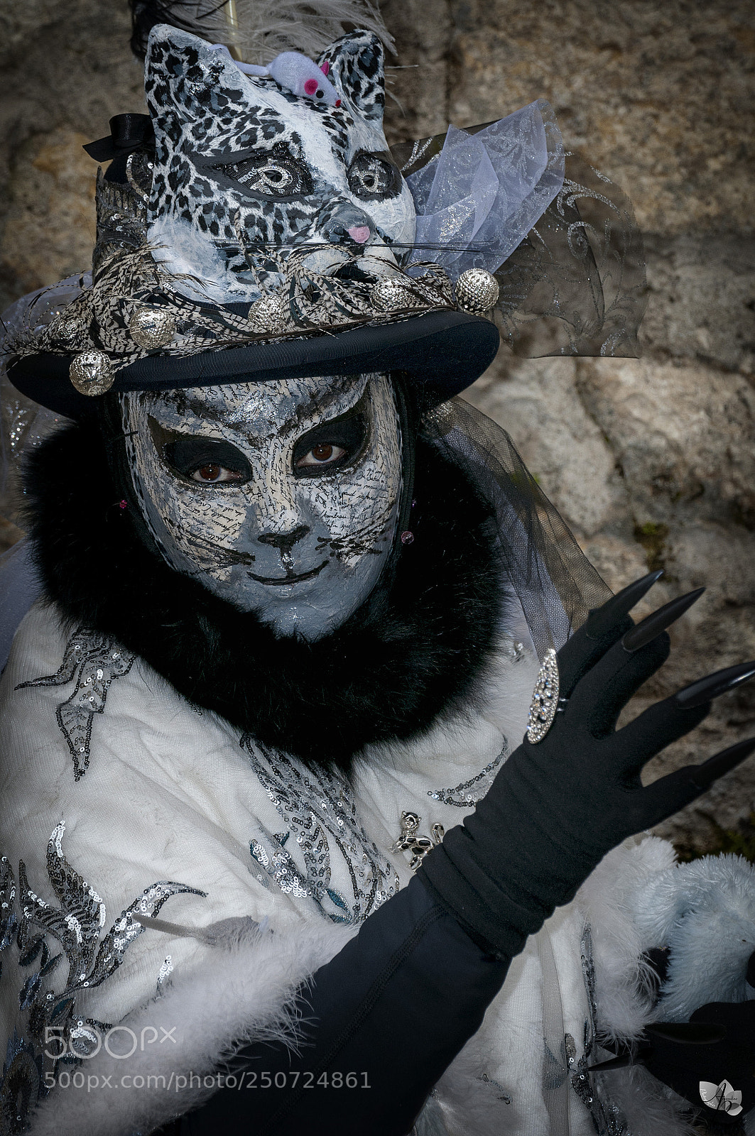 Nikon D300 sample photo. Carnaval vénitien d'annecy photography