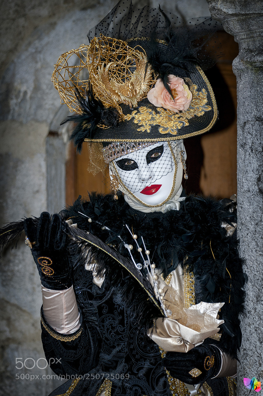 Nikon D300 sample photo. Carnaval vénitien d'annecy photography